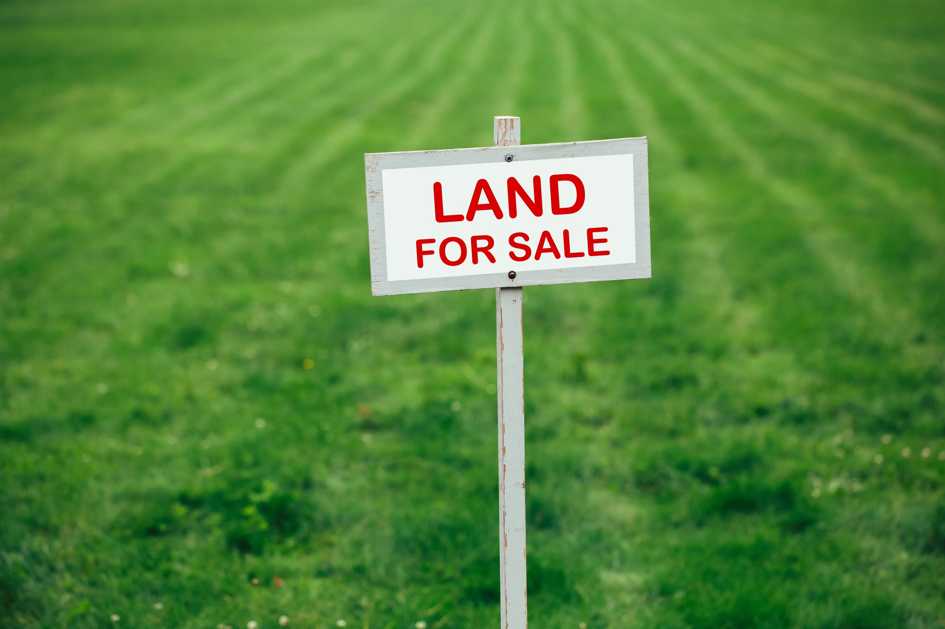 000 Tina Marie Drive, Beaver Dam, Kentucky 42340, ,Land,For Sale,Tina Marie Drive,88133