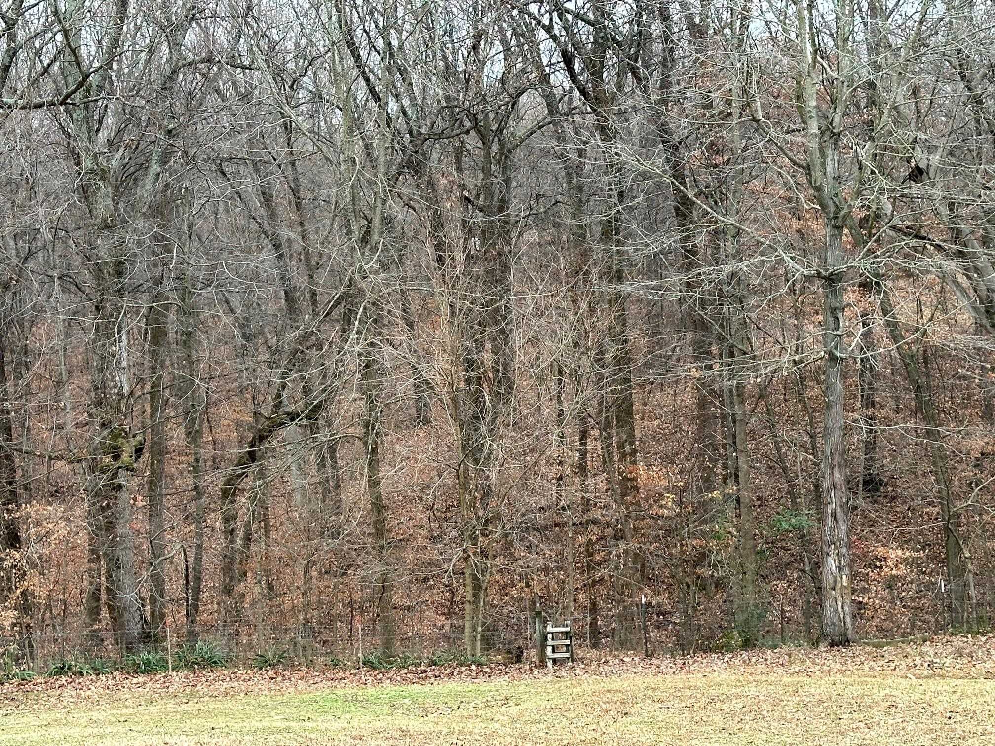9675 Hwy 144, Philpot, Kentucky 42366, 3 Bedrooms Bedrooms, ,2 BathroomsBathrooms,Single Family Residence,For Sale,Hwy 144,88134