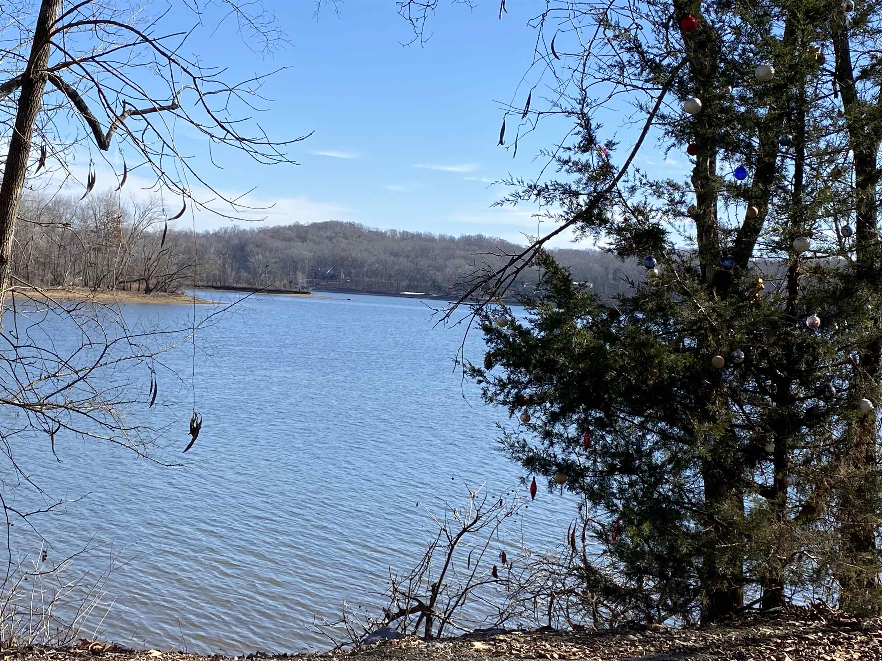 564 Dixon Rd, Cadiz, Kentucky 42211, 1 Bedroom Bedrooms, ,1 BathroomBathrooms,Farm,For Sale,Dixon Rd,88173