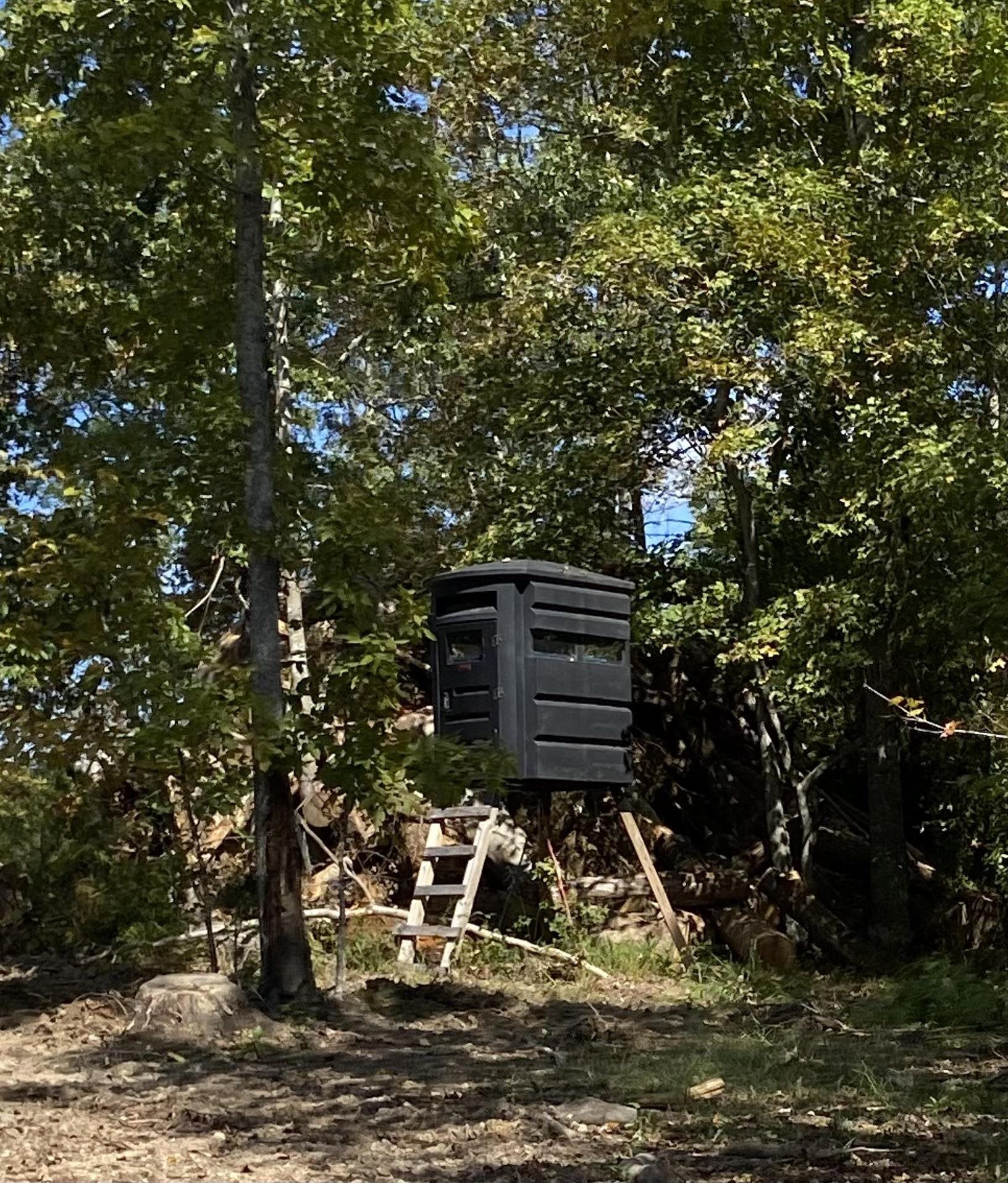 564 Dixon Rd, Cadiz, Kentucky 42211, 1 Bedroom Bedrooms, ,1 BathroomBathrooms,Farm,For Sale,Dixon Rd,88173