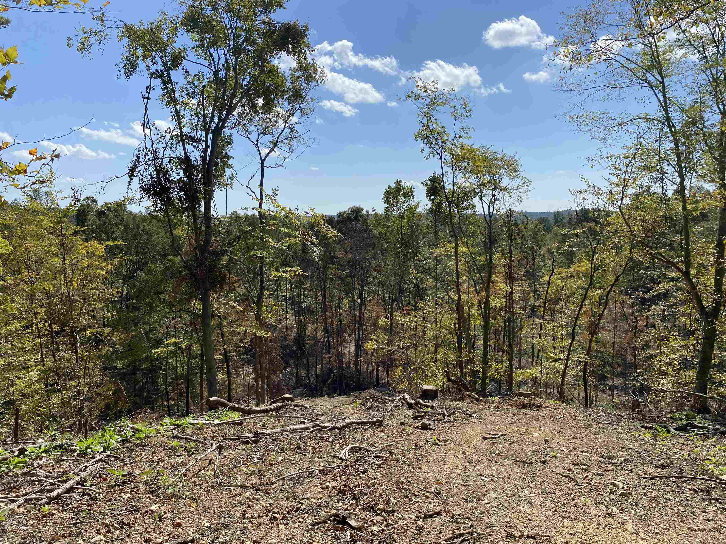 564 Dixon Rd, Cadiz, Kentucky 42211, 1 Bedroom Bedrooms, ,1 BathroomBathrooms,Farm,For Sale,Dixon Rd,88173