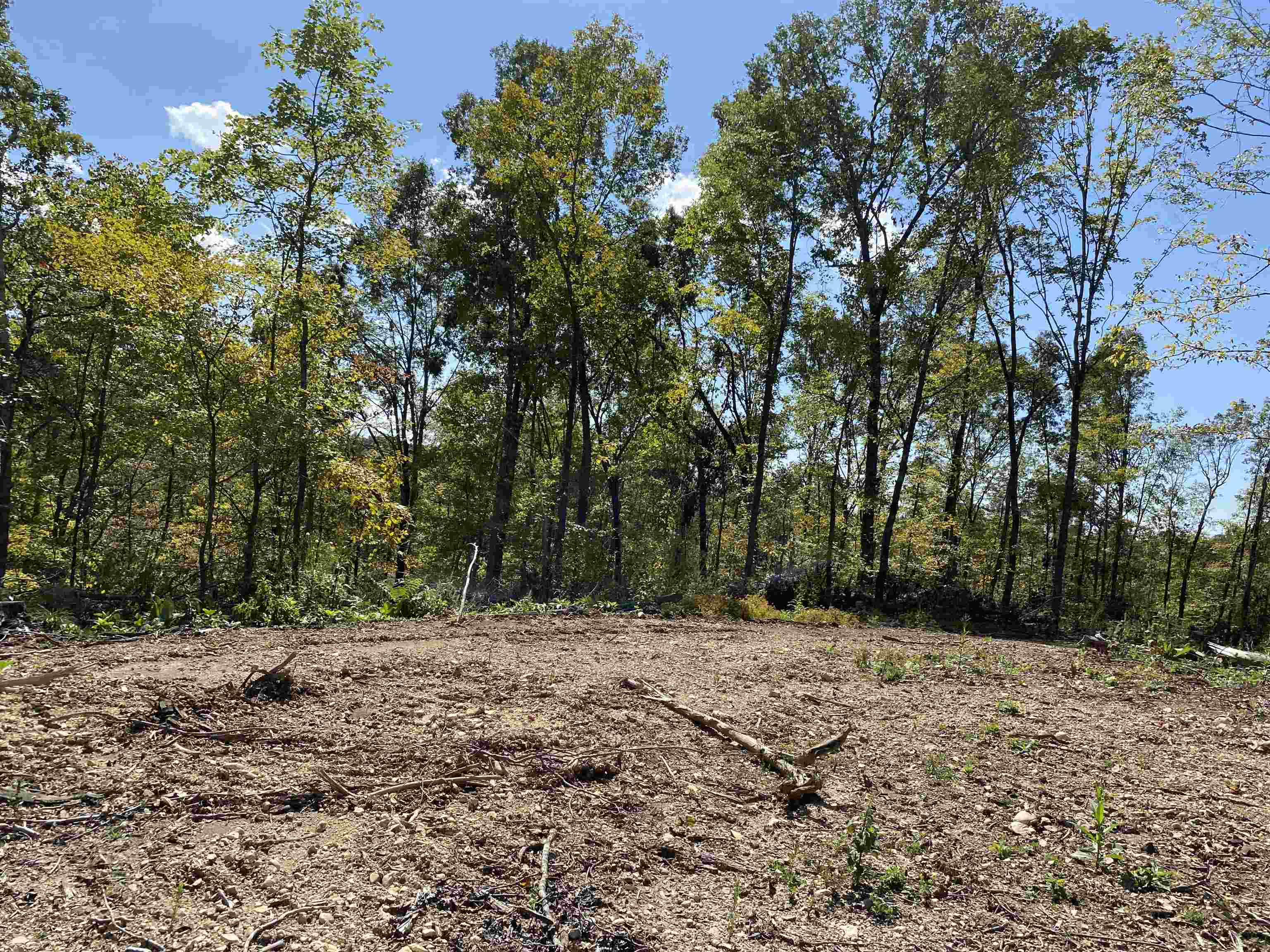 564 Dixon Rd, Cadiz, Kentucky 42211, 1 Bedroom Bedrooms, ,1 BathroomBathrooms,Farm,For Sale,Dixon Rd,88173