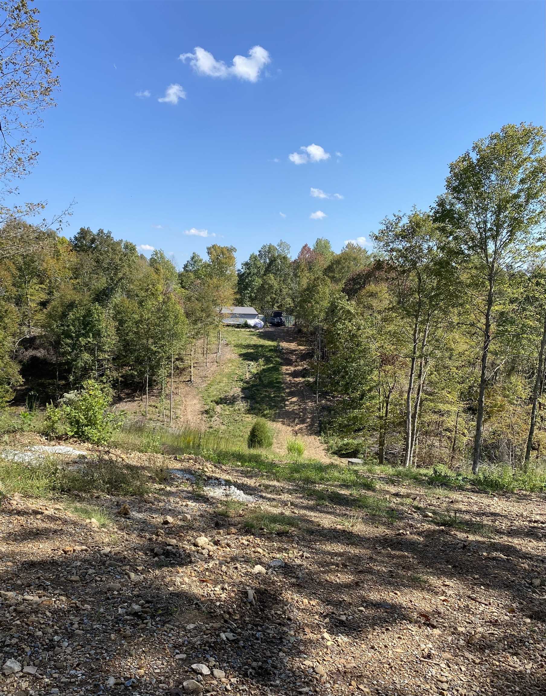564 Dixon Rd, Cadiz, Kentucky 42211, 1 Bedroom Bedrooms, ,1 BathroomBathrooms,Farm,For Sale,Dixon Rd,88173