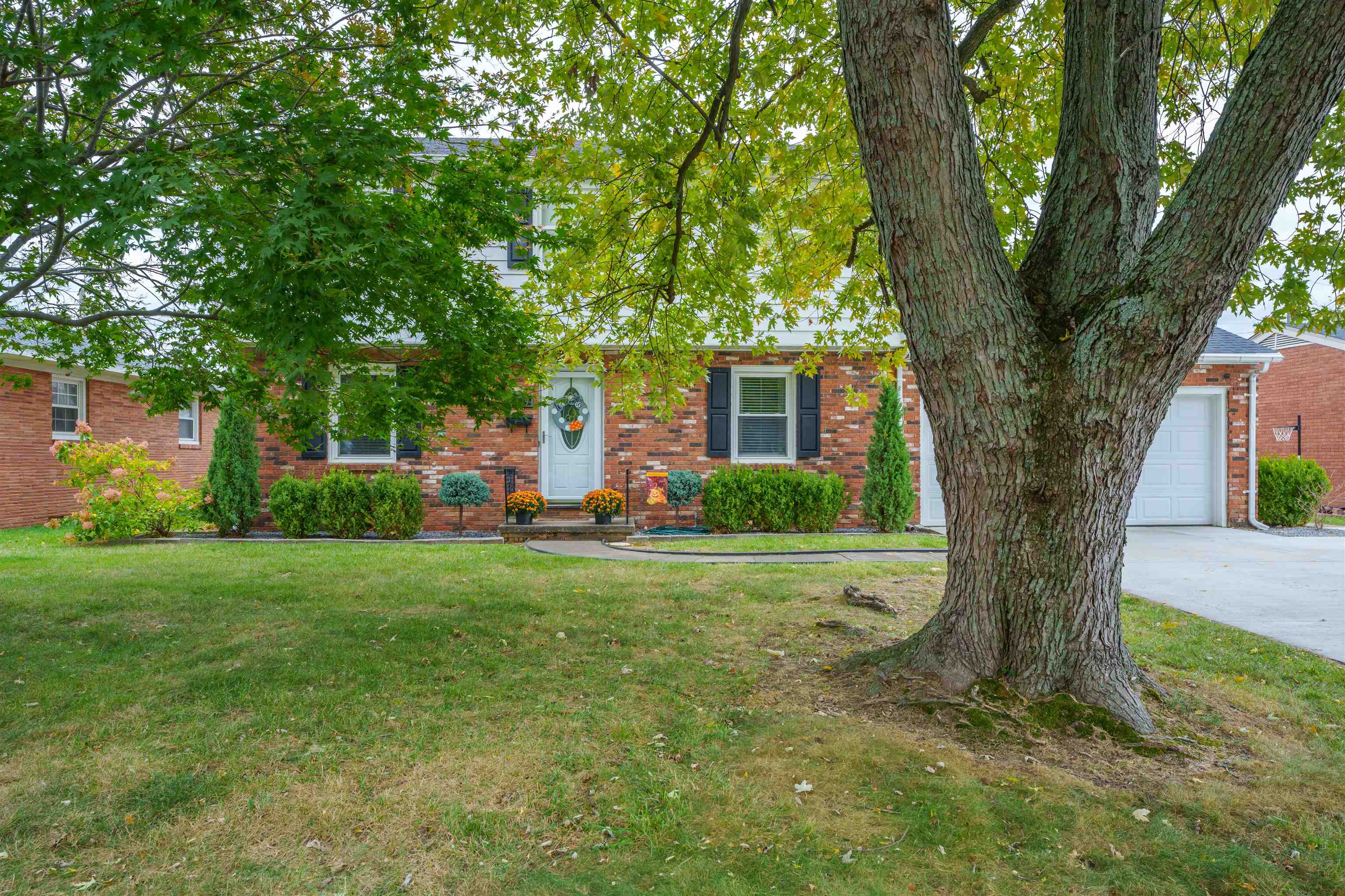 2509 Dartmouth Drive, Owensboro, Kentucky 42301, 3 Bedrooms Bedrooms, ,2 BathroomsBathrooms,Single Family Residence,For Sale,Dartmouth Drive,88219
