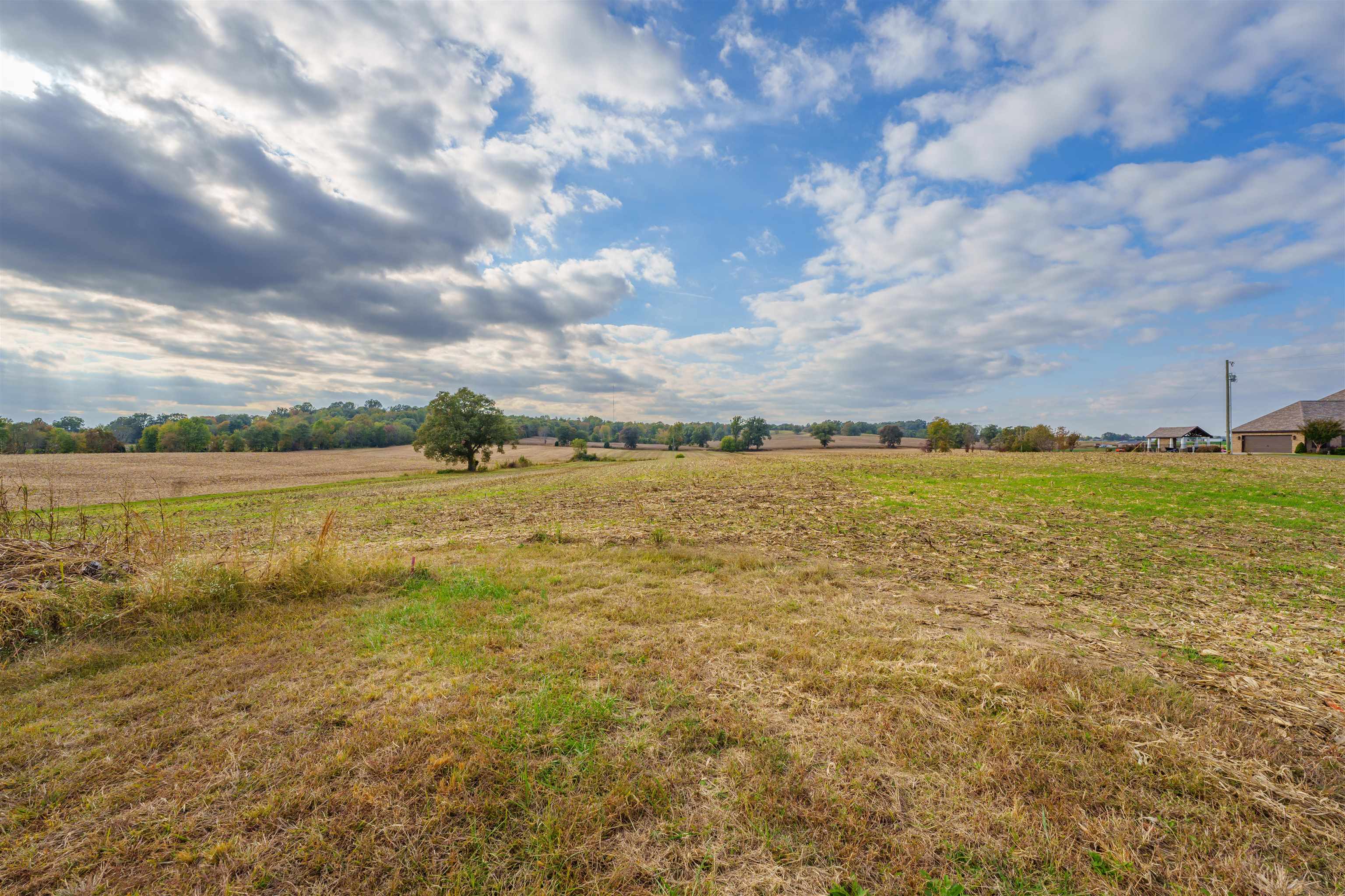 6306 Old State Road, Philpot, Kentucky 42366, ,Land,For Sale,Old State Road,88243
