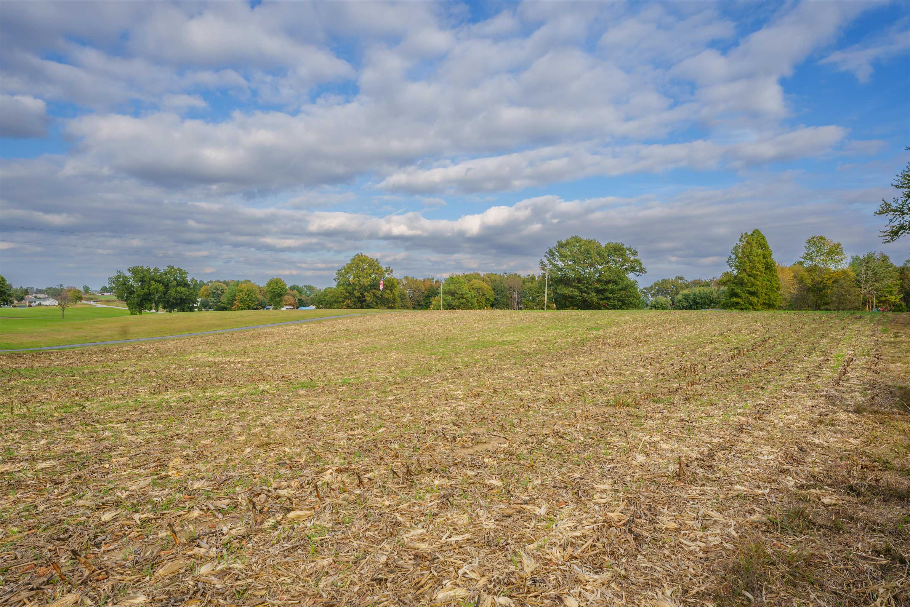 6306 Old State Road, Philpot, Kentucky 42366, ,Land,For Sale,Old State Road,88243