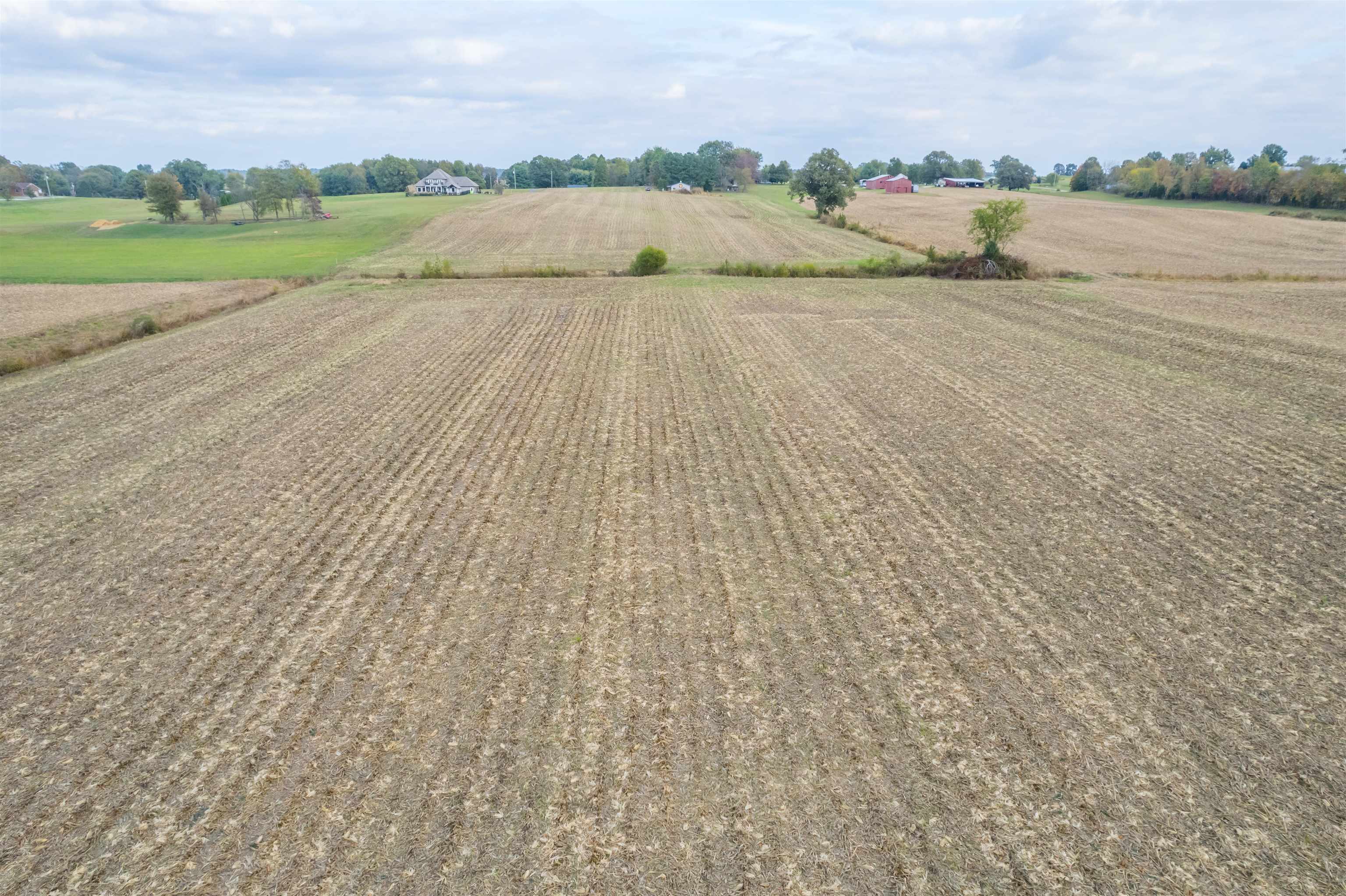 6306 Old State Road, Philpot, Kentucky 42366, ,Land,For Sale,Old State Road,88243