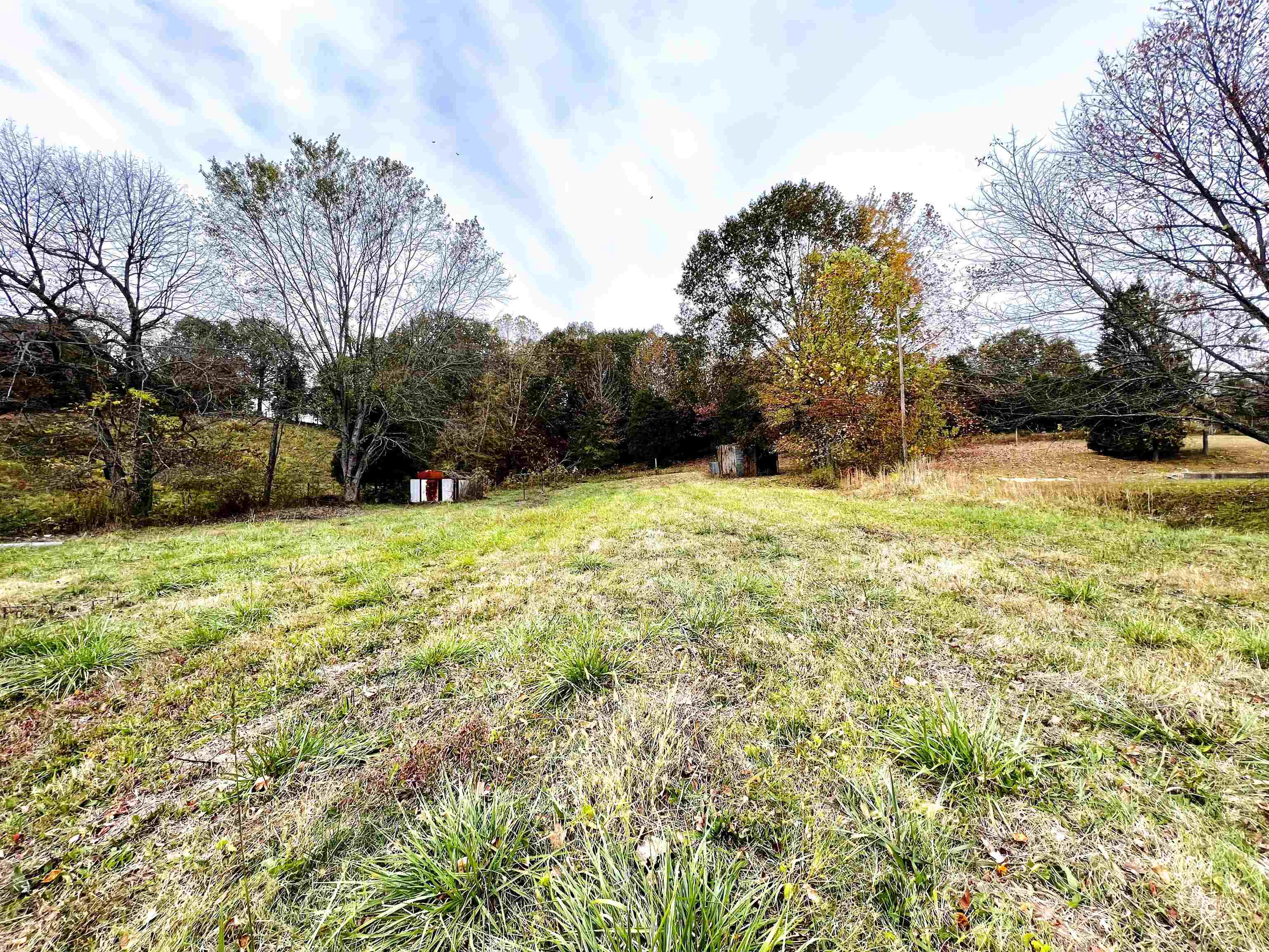 262 Horse Branch Loop, Horse Branch, Kentucky 42349, ,Land,For Sale,Horse Branch Loop,88305