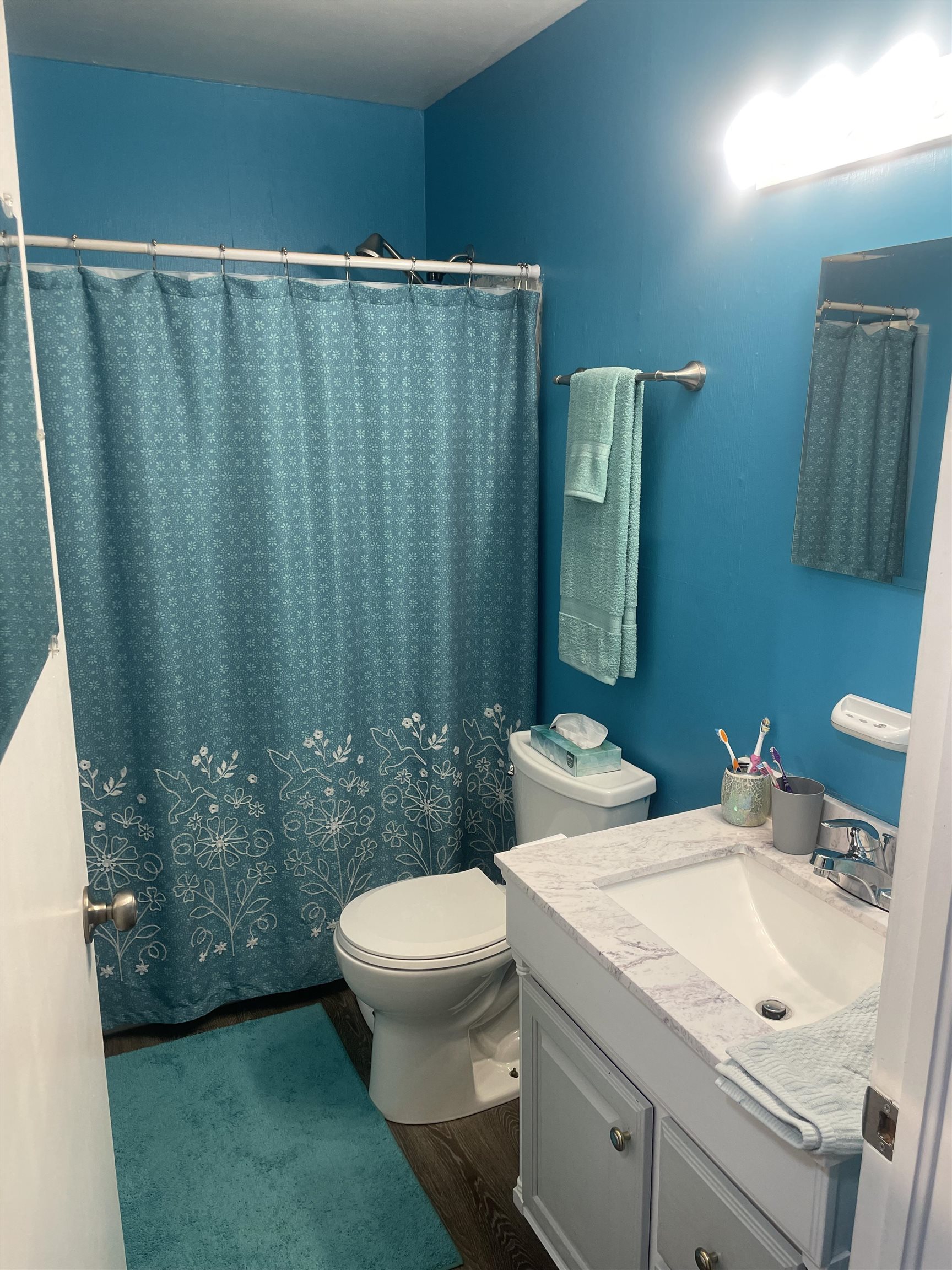 3626 Hawthorne Drive, Owensboro, Kentucky 42303, 3 Bedrooms Bedrooms, ,1 BathroomBathrooms,Single Family Residence,For Sale,Hawthorne Drive,88316