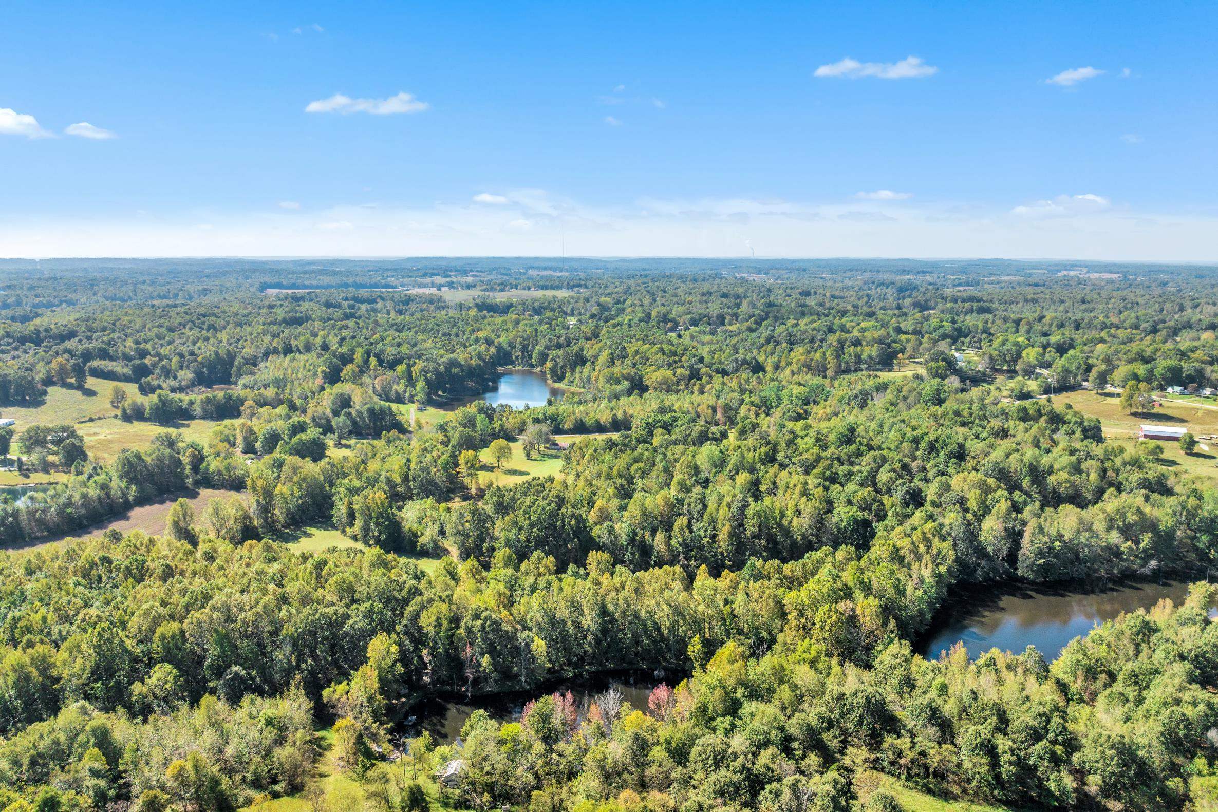 0 Ronnie Lake Road, Utica, Kentucky 42376, ,Land,For Sale,Ronnie Lake Road,88372