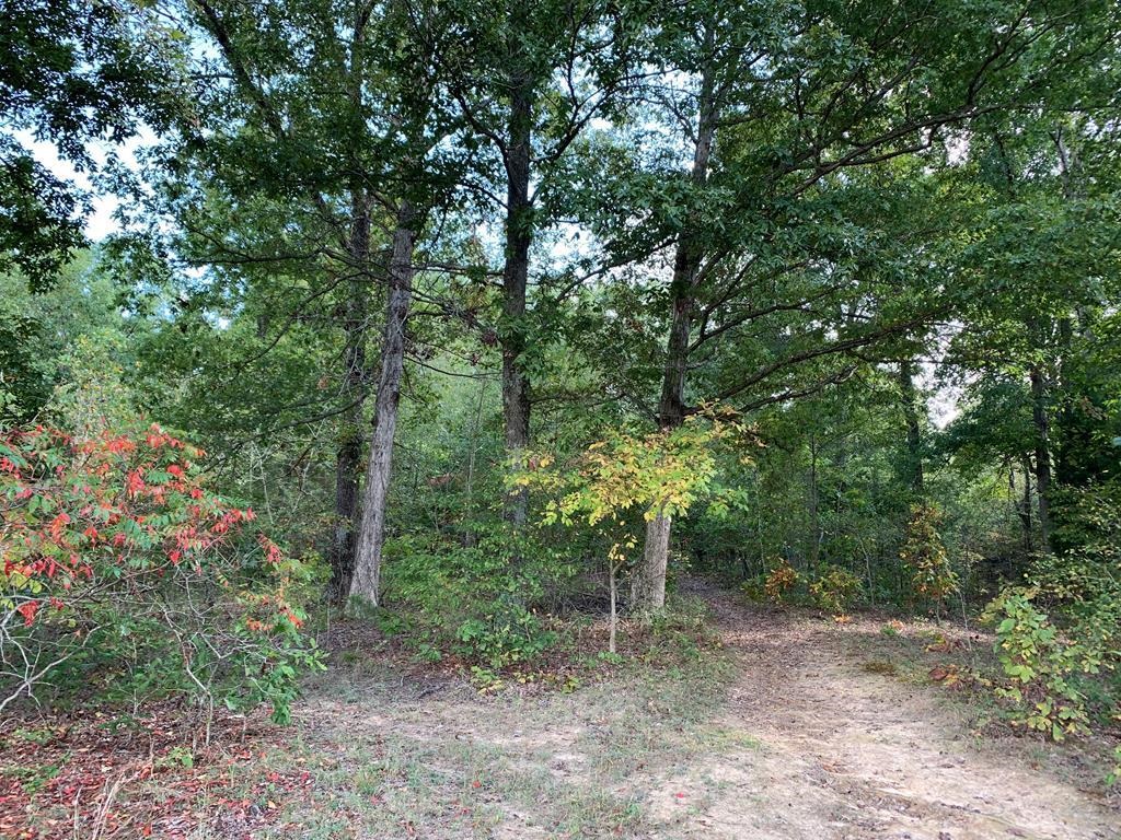 0000 Hwy 1046, Calhoun, Kentucky 42327, ,Land,For Sale,Hwy 1046,88393