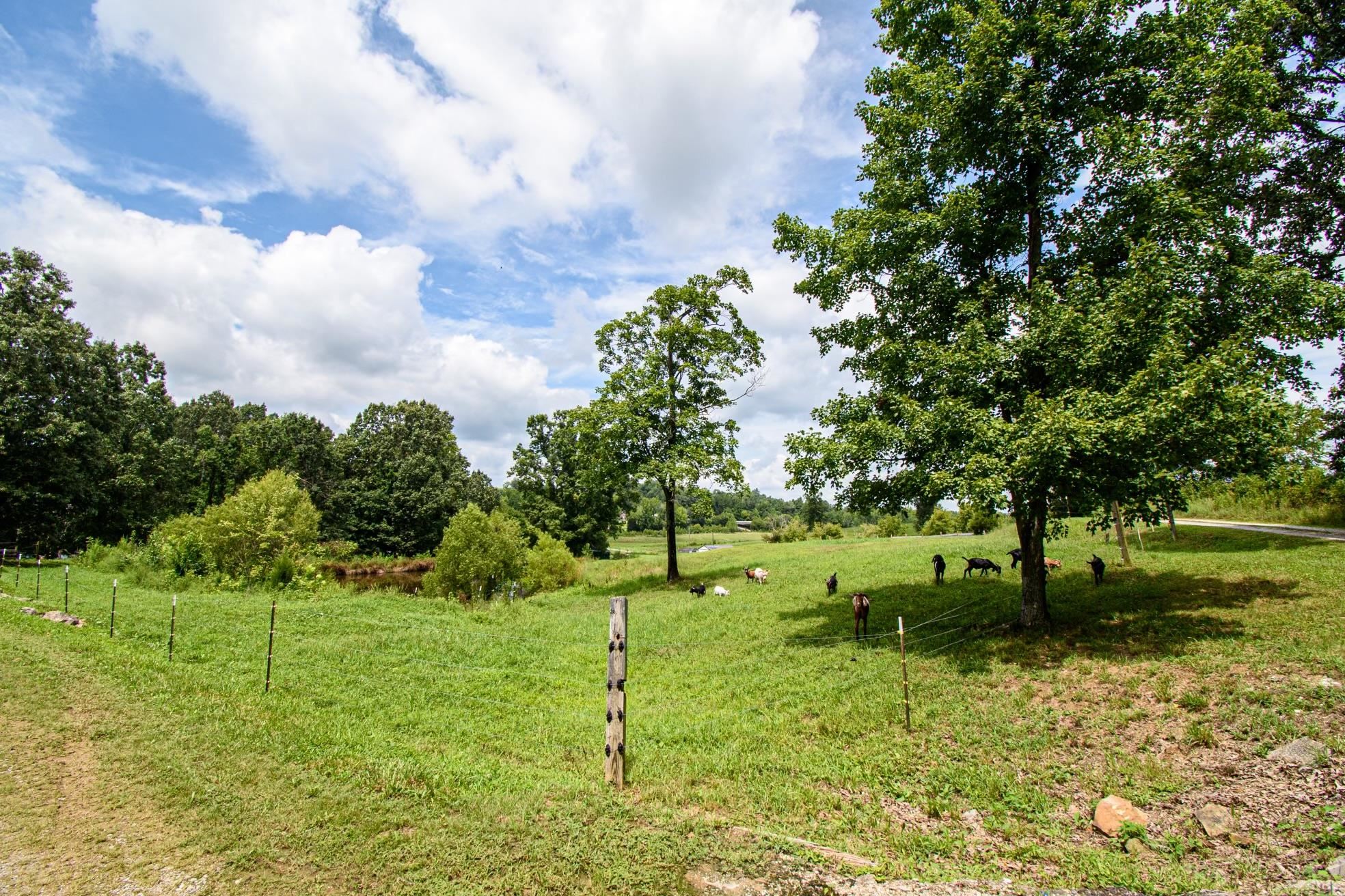 265 Bradley Sisk Road, Madisonville, Kentucky 42431, 3 Bedrooms Bedrooms, ,2 BathroomsBathrooms,Single Family Residence,For Sale,Bradley Sisk Road,88523