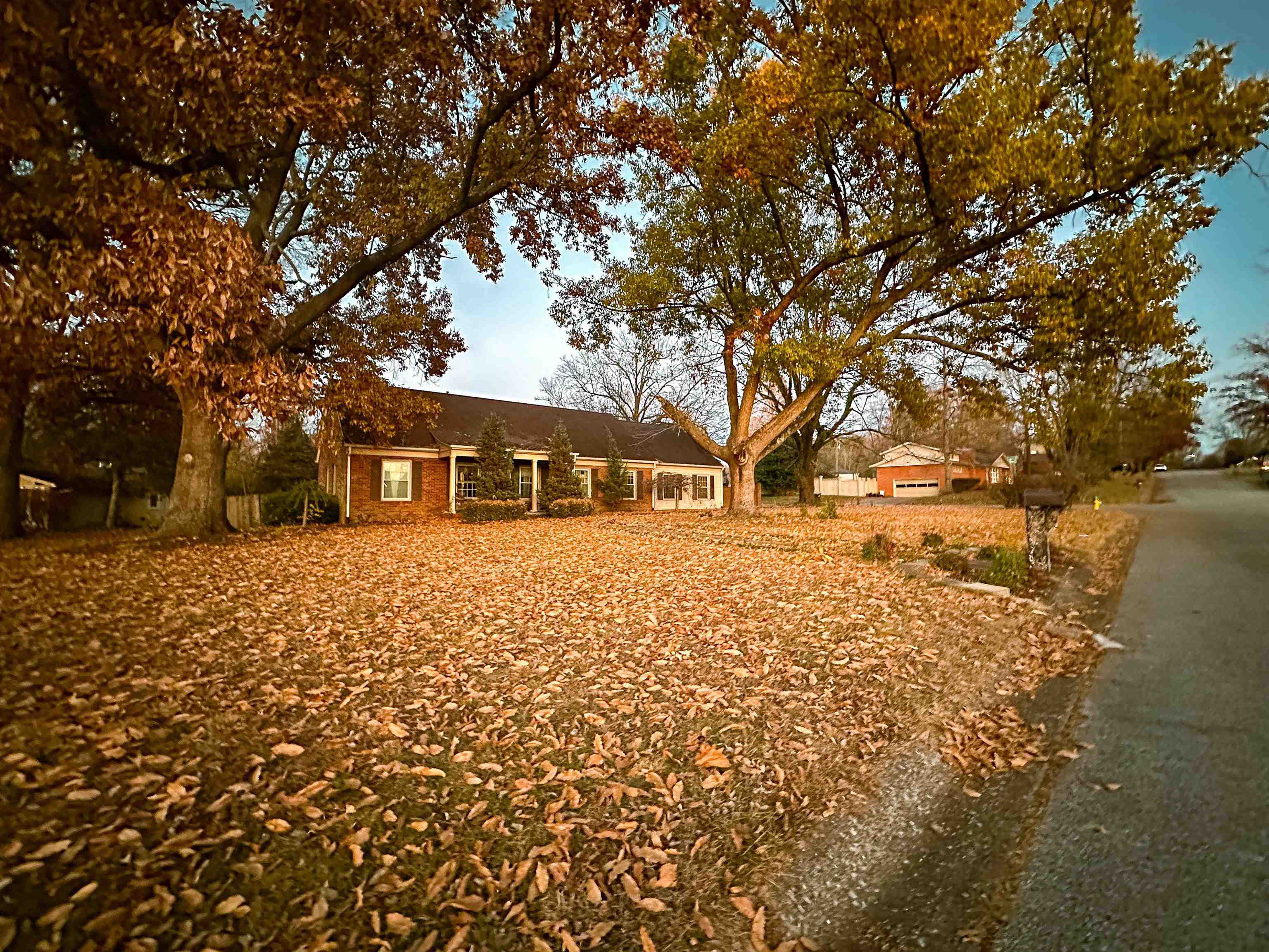 1121 Woodmere Ln, Owensboro, Kentucky 42303, 5 Bedrooms Bedrooms, ,2 BathroomsBathrooms,Single Family Residence,For Sale,Woodmere Ln,88531