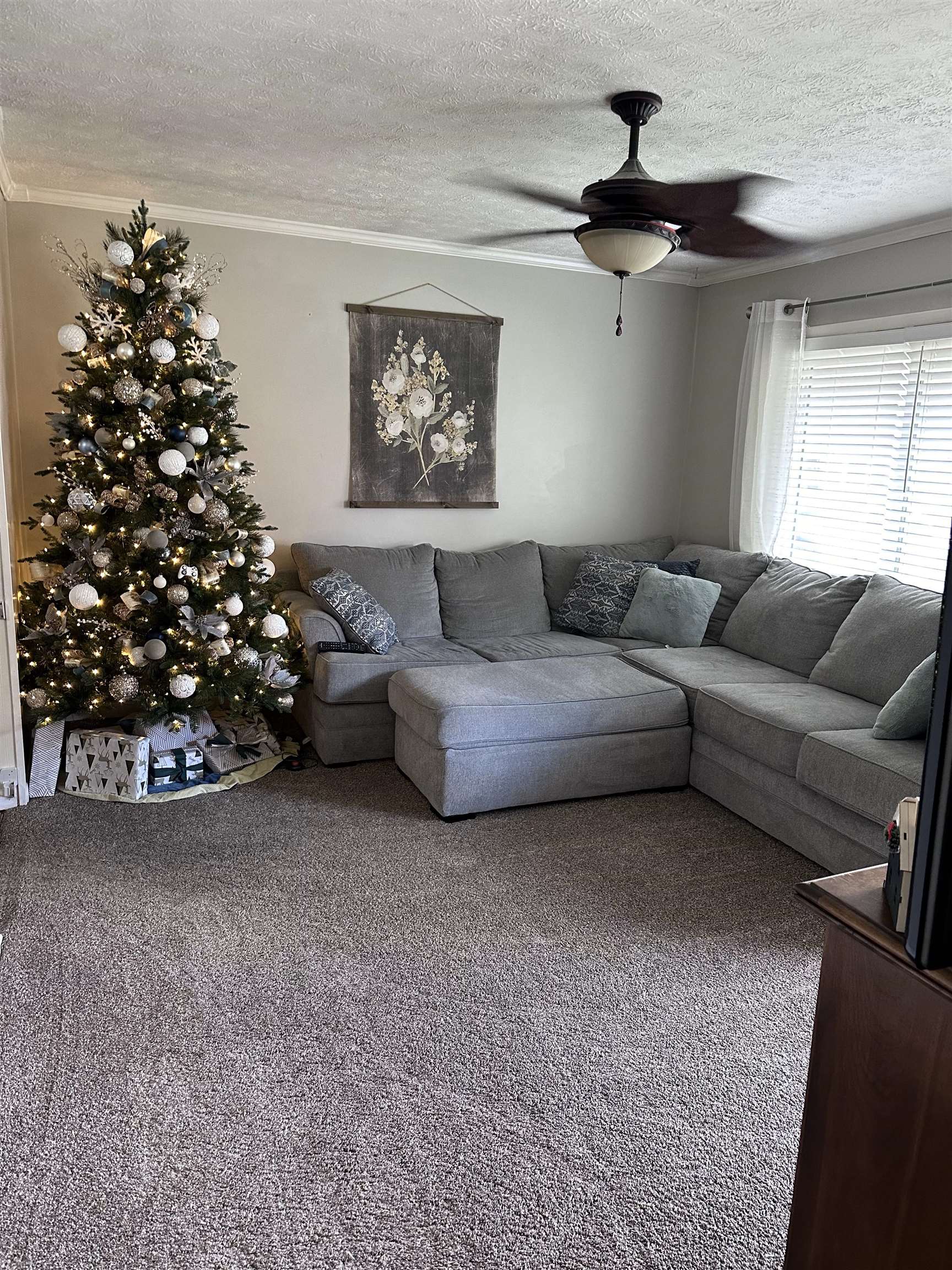 5431 Diane Ave., Owensboro, Kentucky 42301, 4 Bedrooms Bedrooms, ,2 BathroomsBathrooms,Single Family Residence,For Sale,Diane Ave.,88567