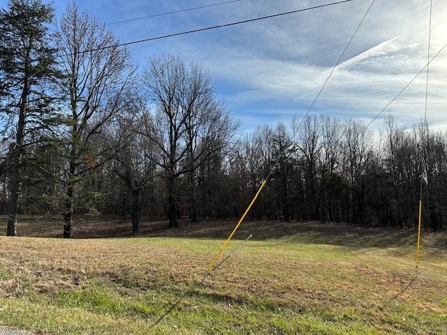 Lot 4 University Circle, Madisonville, Kentucky 42431, ,Land,For Sale,University Circle,88615