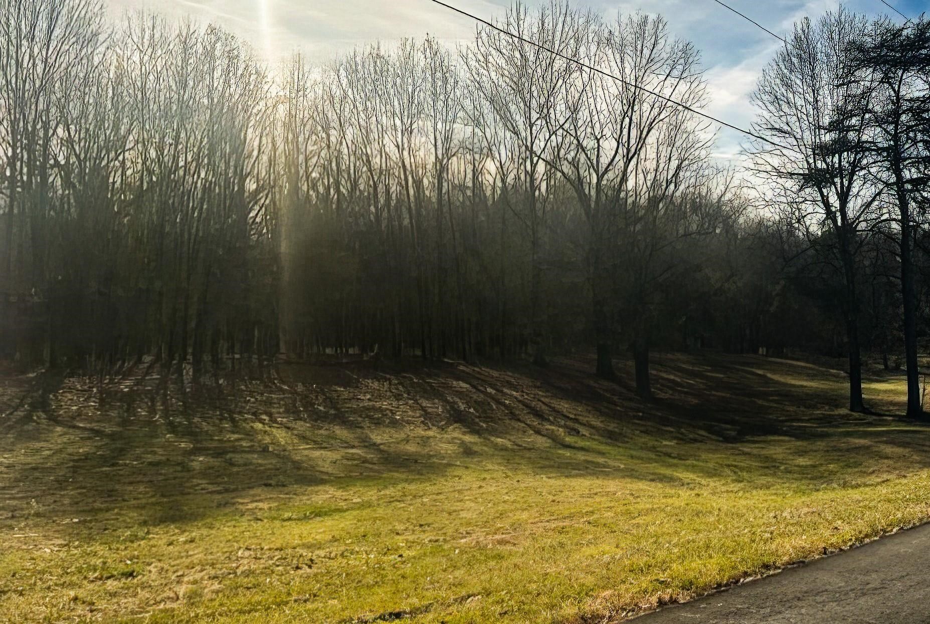 Lot 3 University Circle, Madisonville, Kentucky 42431, ,Land,For Sale,University Circle,88616