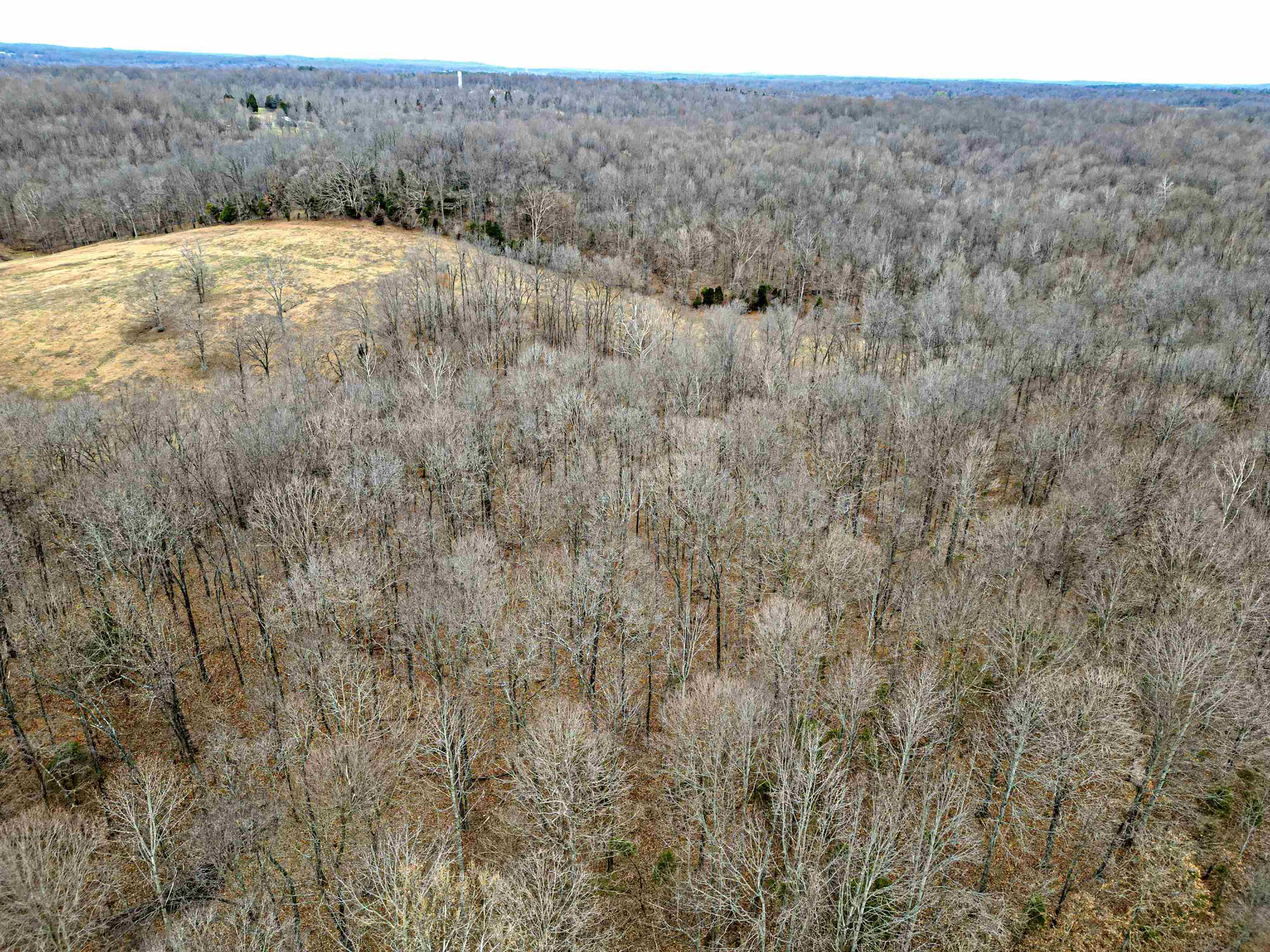 1985 Fred Morris Rd., Reynolds Station, Kentucky 42368, 3 Bedrooms Bedrooms, ,2 BathroomsBathrooms,Farm,For Sale,Fred Morris Rd.,88618