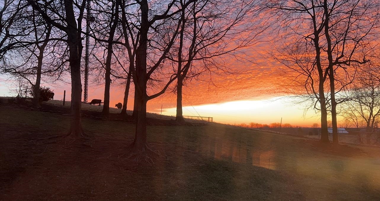 259 Ridgecrest Pl Owensboro KY Greater Owensboro REALTORS® Association