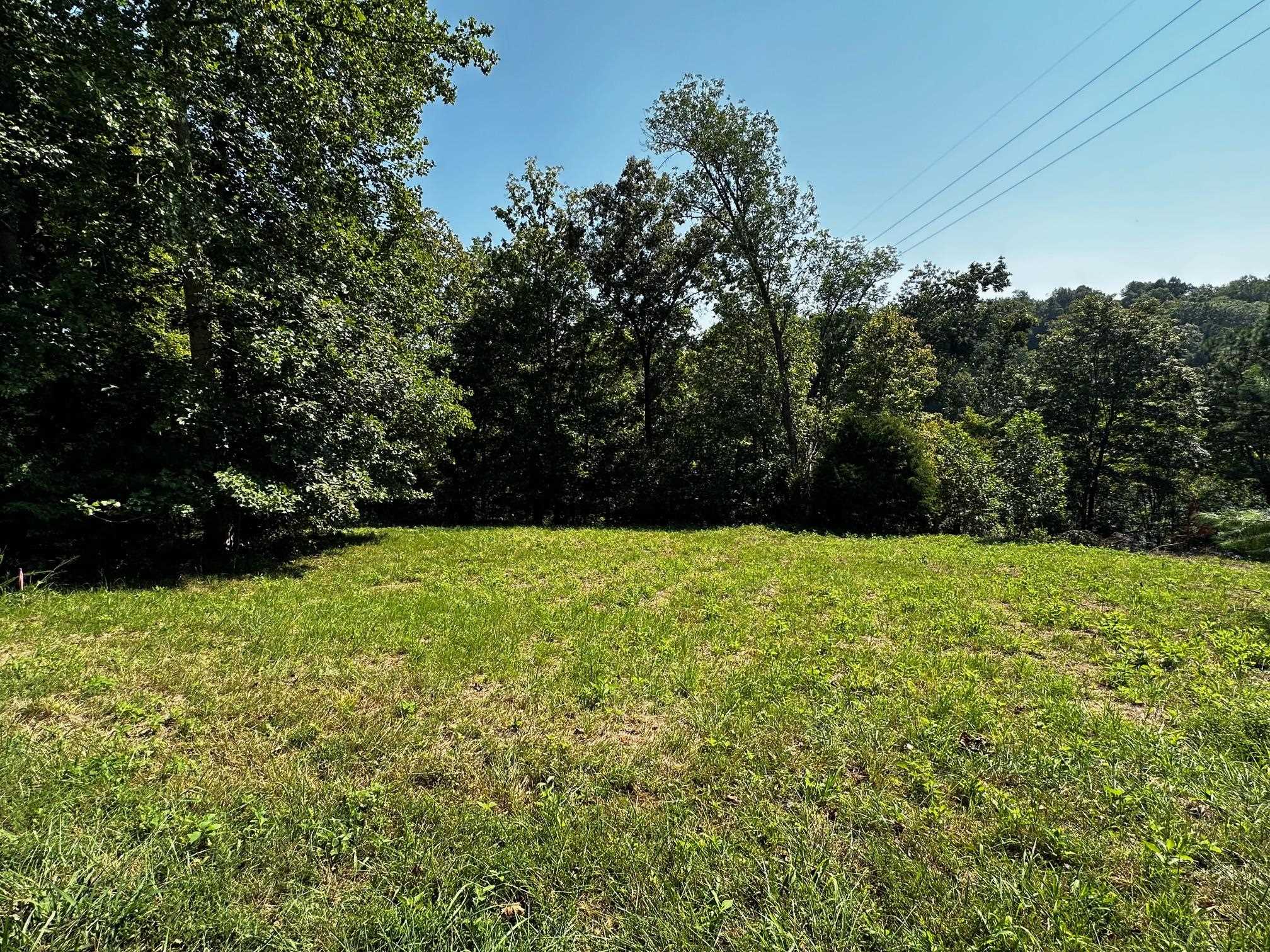 0 Canyon Run Road, Lewisburg, Kentucky 42256, ,Land,For Sale,Canyon Run Road,88727