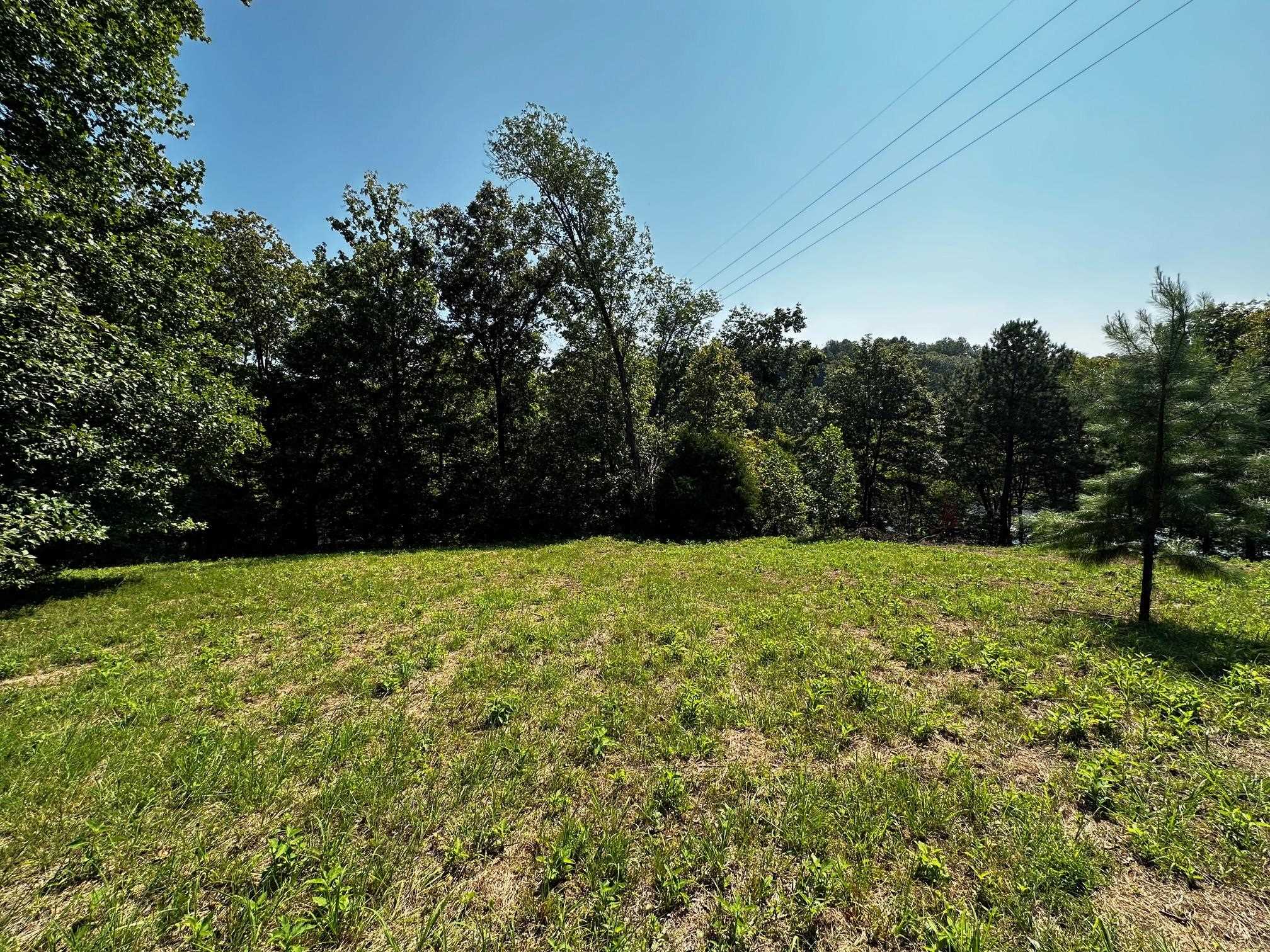 0 Canyon Run Road, Lewisburg, Kentucky 42256, ,Land,For Sale,Canyon Run Road,88727