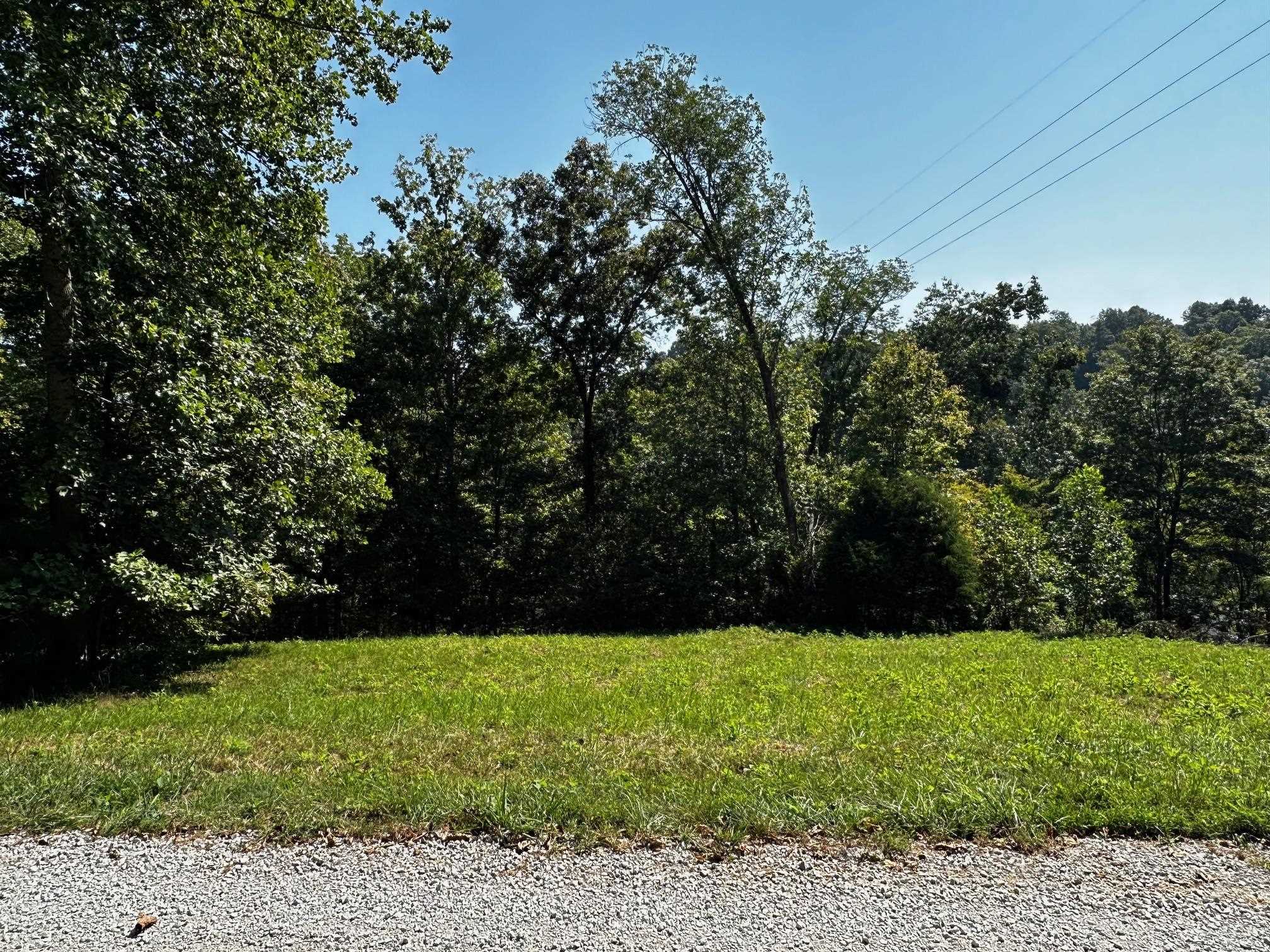0 Canyon Run Road, Lewisburg, Kentucky 42256, ,Land,For Sale,Canyon Run Road,88727