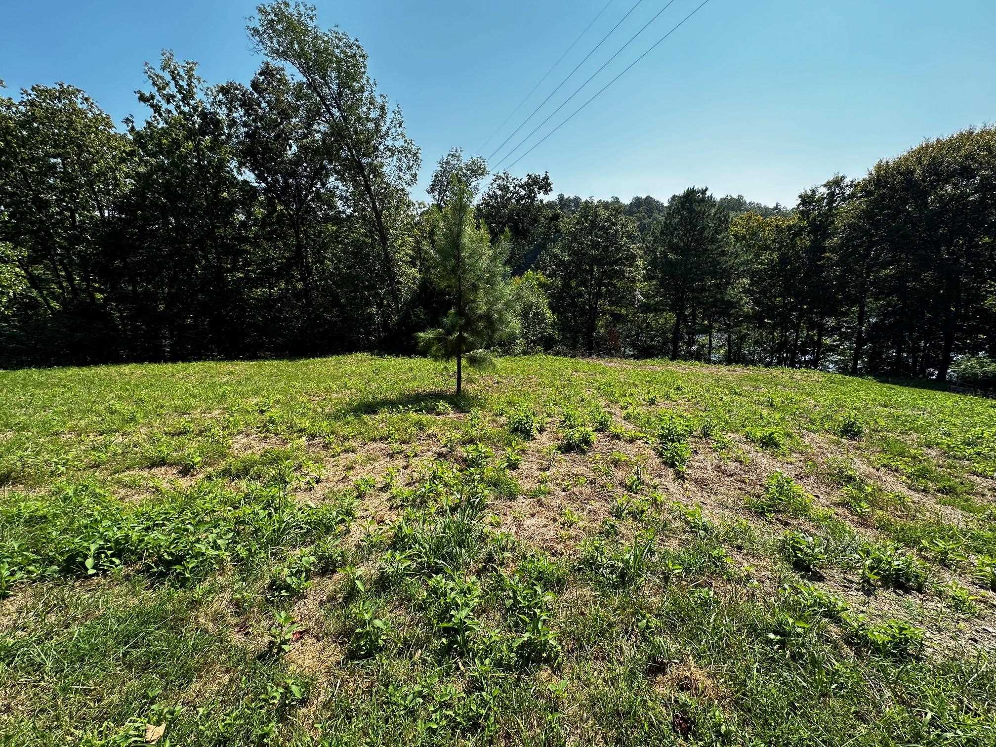 0 Canyon Run Road, Lewisburg, Kentucky 42256, ,Land,For Sale,Canyon Run Road,88727