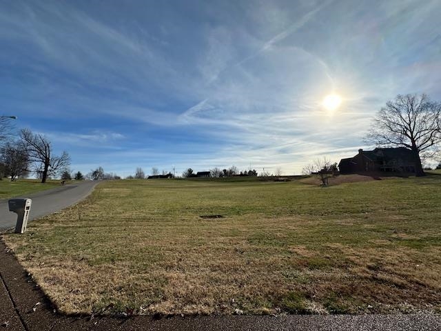 Lot 33 Thornhill Road, Madisonville, Kentucky 42431, ,Land,For Sale,Thornhill Road,88740
