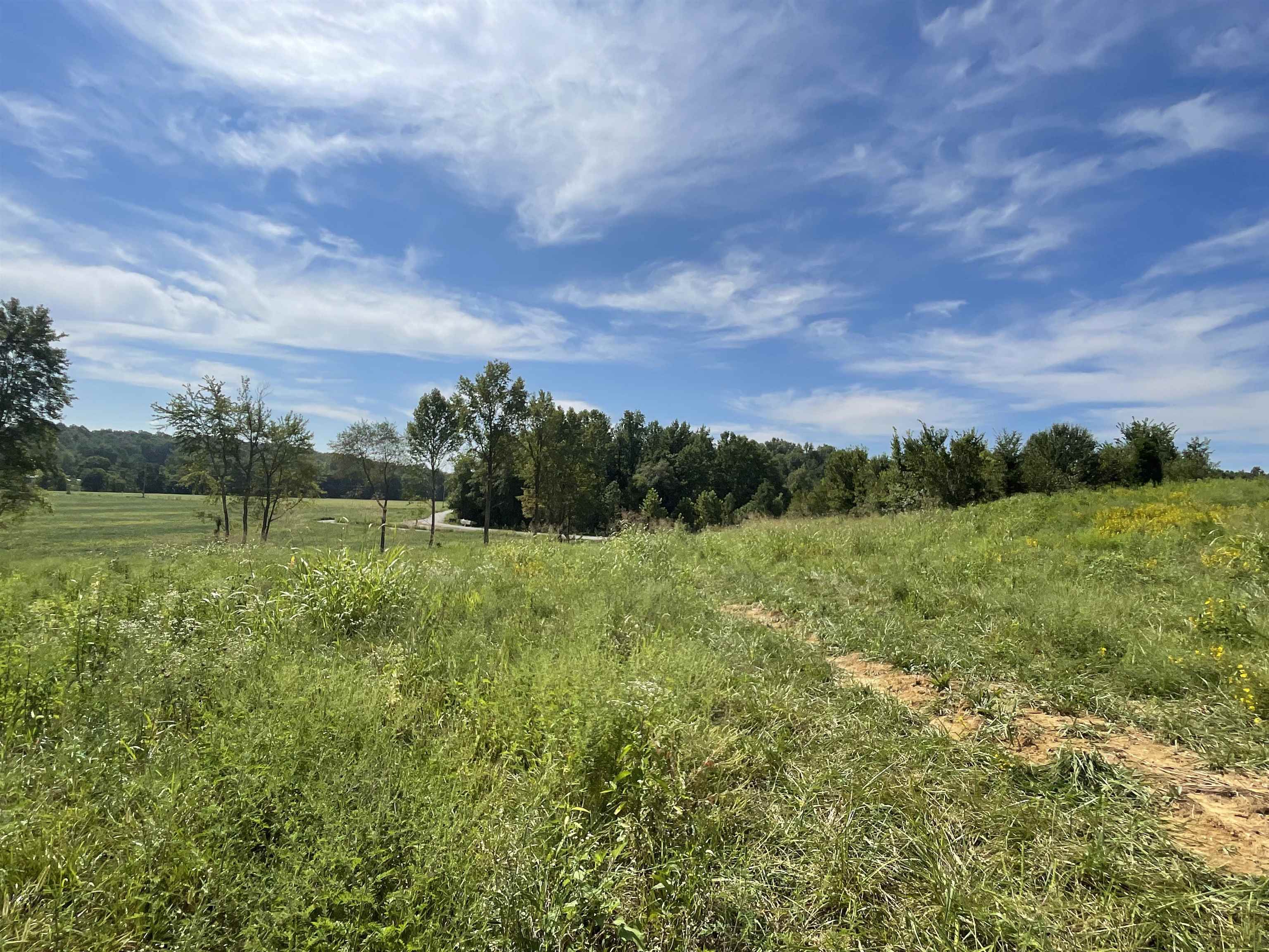 HWY 951, Knottsville, Kentucky 42366, ,Land,For Sale,HWY 951,89059