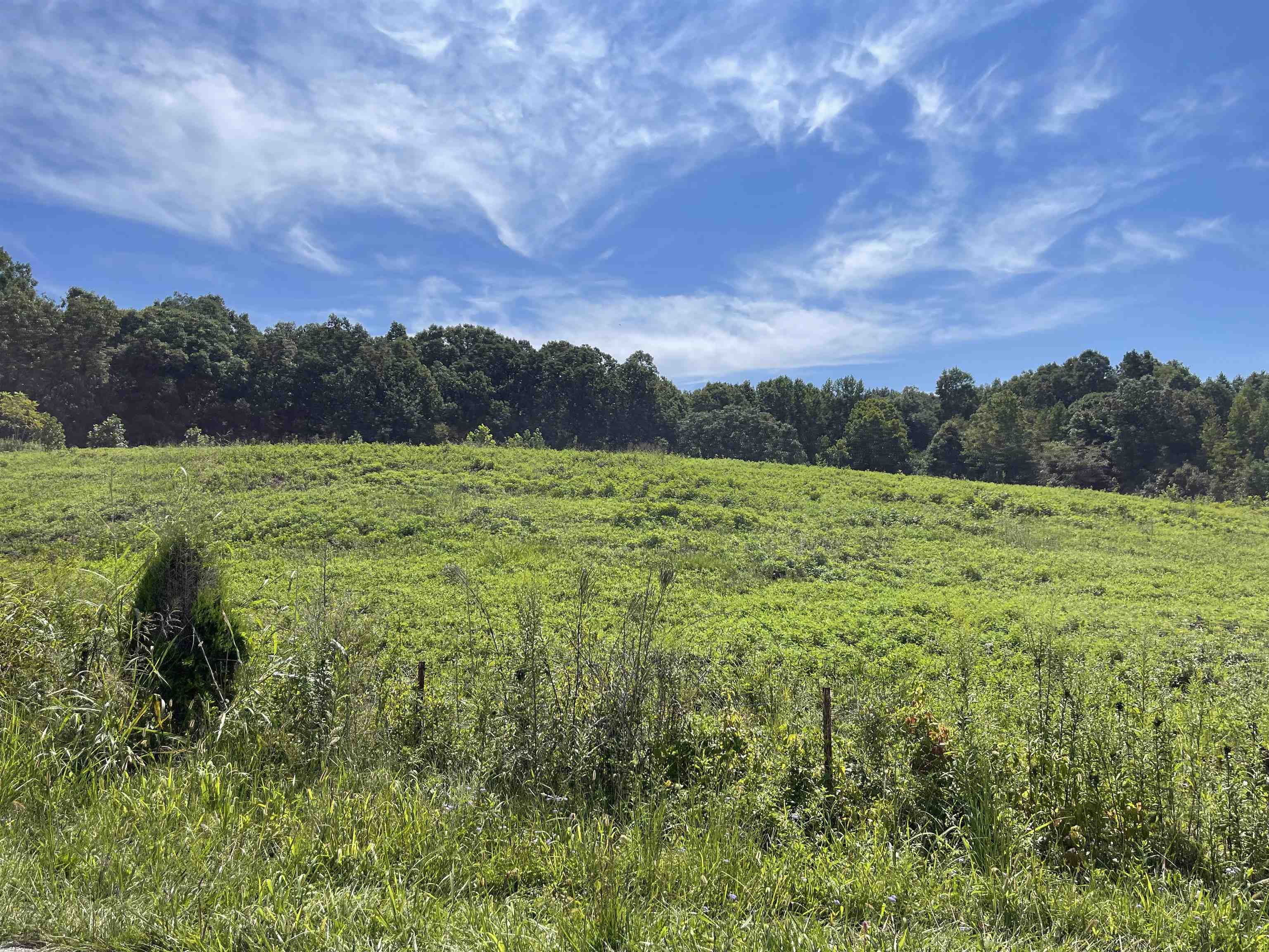12248 Indian Hill Road, Daviess Co, Kentucky 42366, ,Land,For Sale,Indian Hill Road,89061