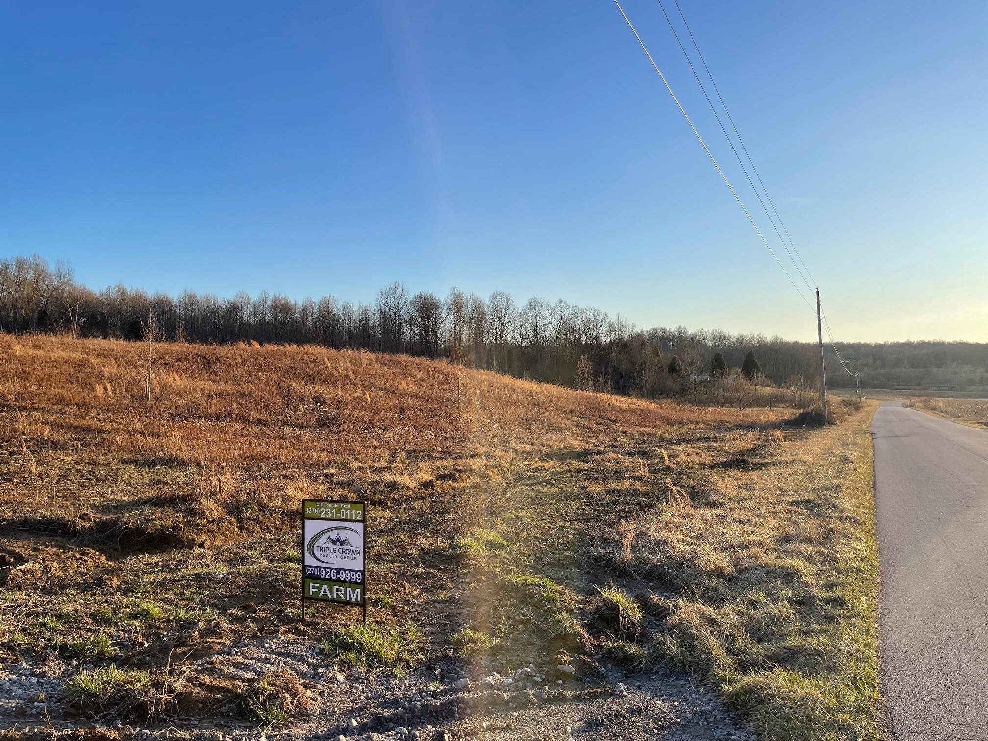12248 Indian Hill Road, Philpot, Kentucky 42366, ,Land,For Sale,Indian Hill Road,89063