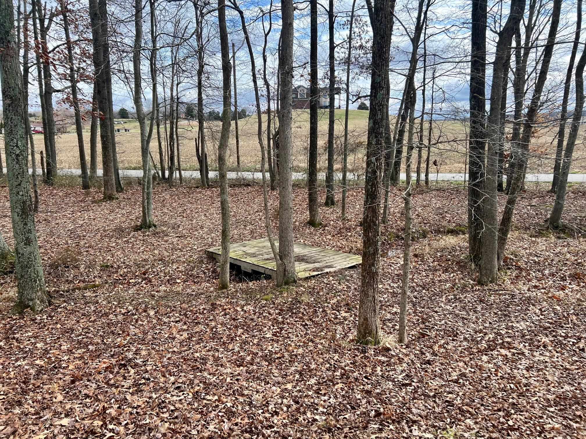 106 Burge Lane, Beaver Dam, Kentucky 42320, 2 Bedrooms Bedrooms, ,1 BathroomBathrooms,Manufactured On Land,For Sale,Burge Lane,89080
