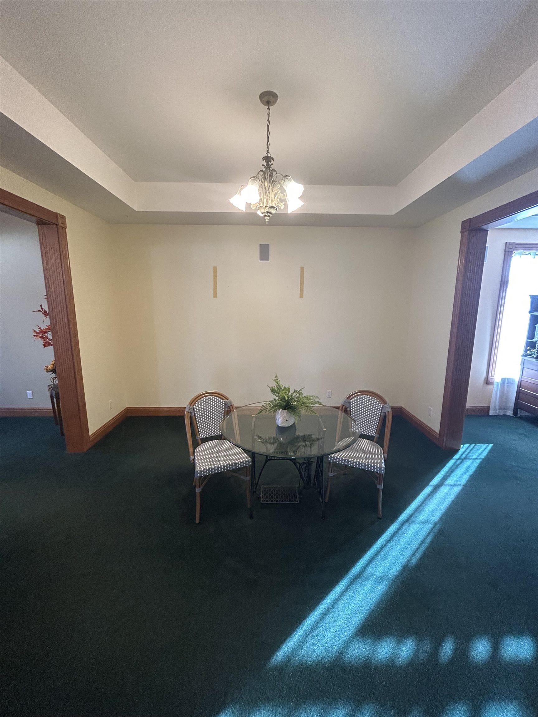 3121 Commonwealth Court, Owensboro, Kentucky 42303, ,Mixed Use,For Sale,Commonwealth Court,89095