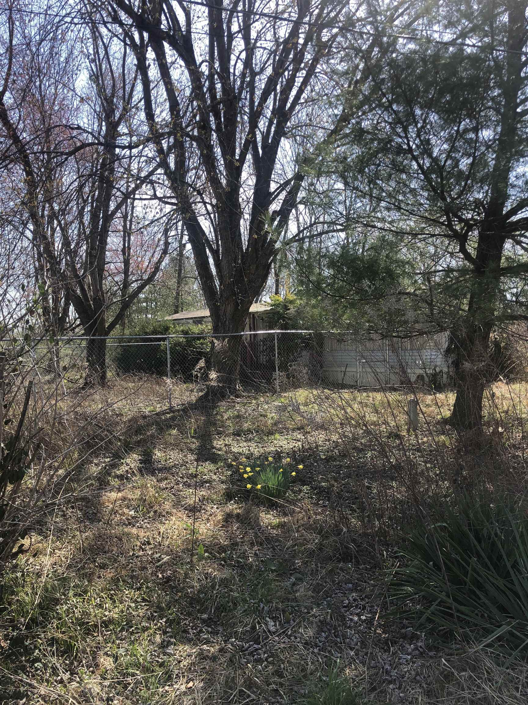 5320 Millers Mill Rd., Owensboro, Kentucky 42303, 3 Bedrooms Bedrooms, ,2 BathroomsBathrooms,Manufactured On Land,For Sale,Millers Mill Rd.,89216