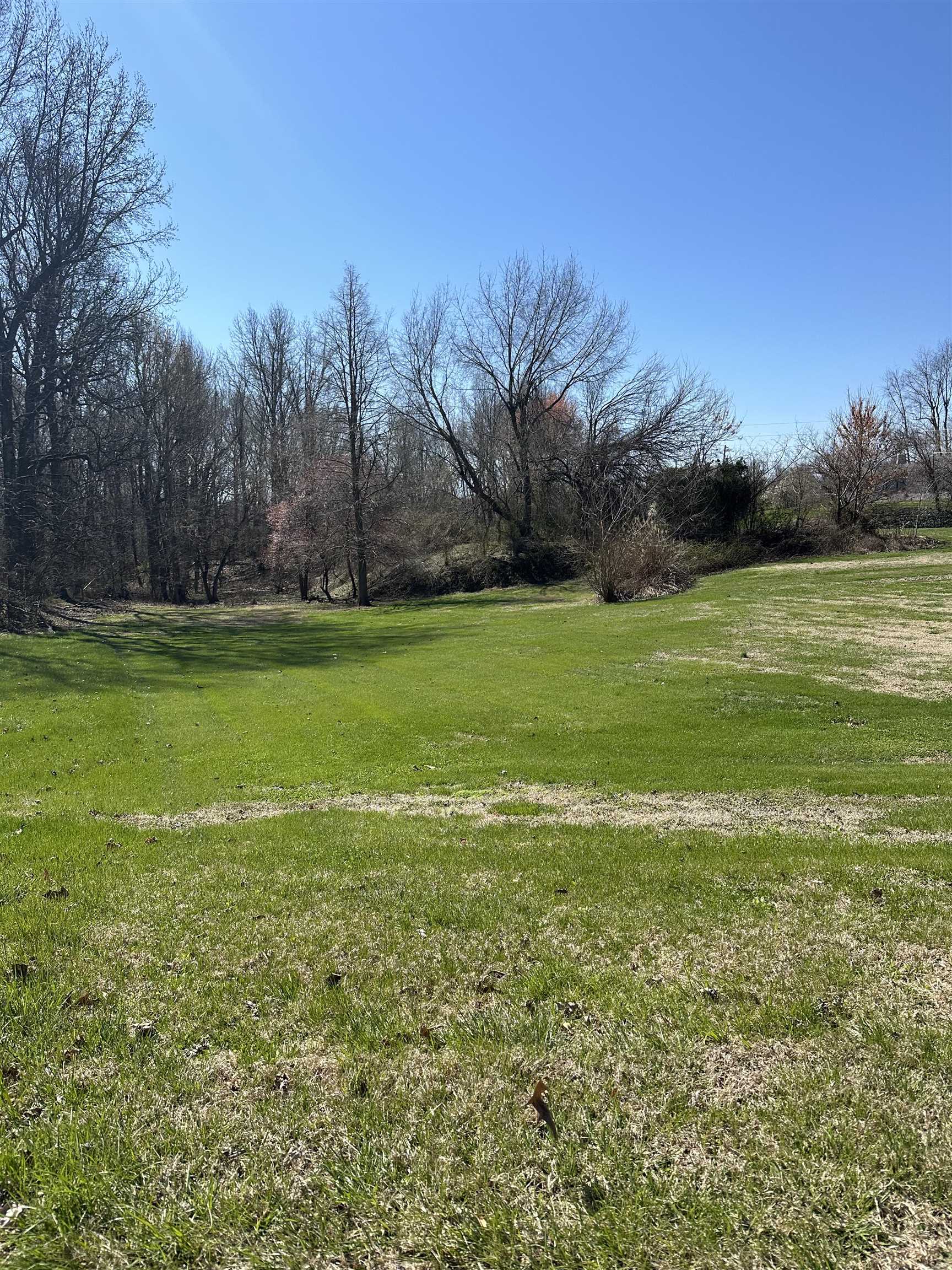 2430-A Fairview Spur, Owensboro, Kentucky 42303, ,Land,For Sale,Fairview Spur,89225