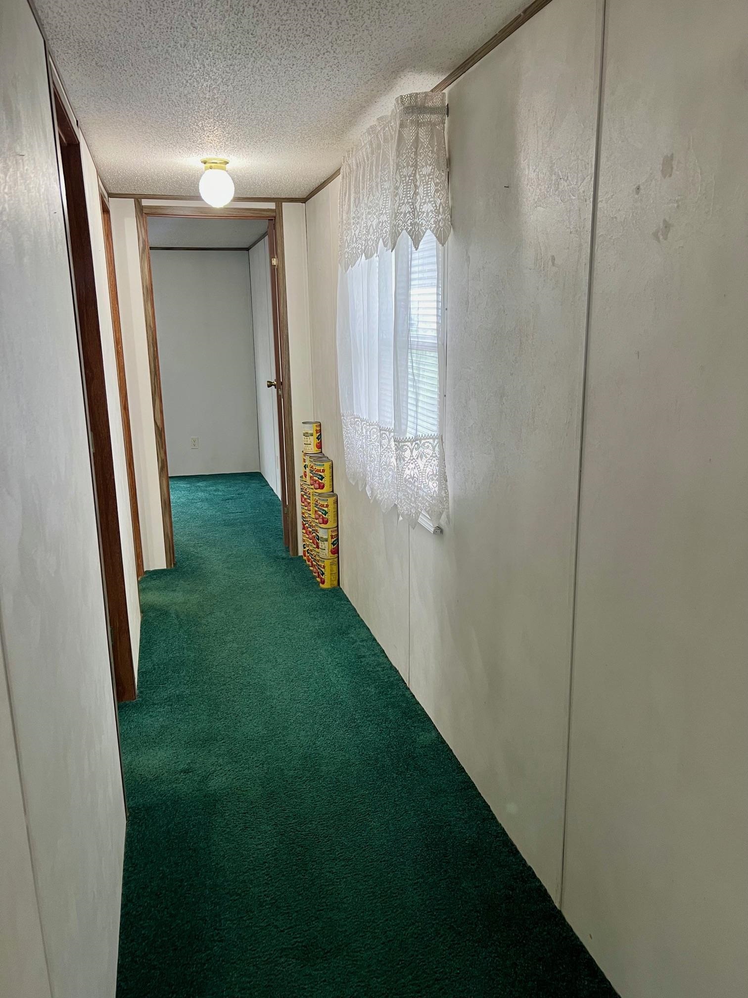 1000 Chesnut Grove Rd, Lewisport, Kentucky 42351, 3 Bedrooms Bedrooms, ,2 BathroomsBathrooms,Manufactured Home,For Sale,Chesnut Grove Rd,89311