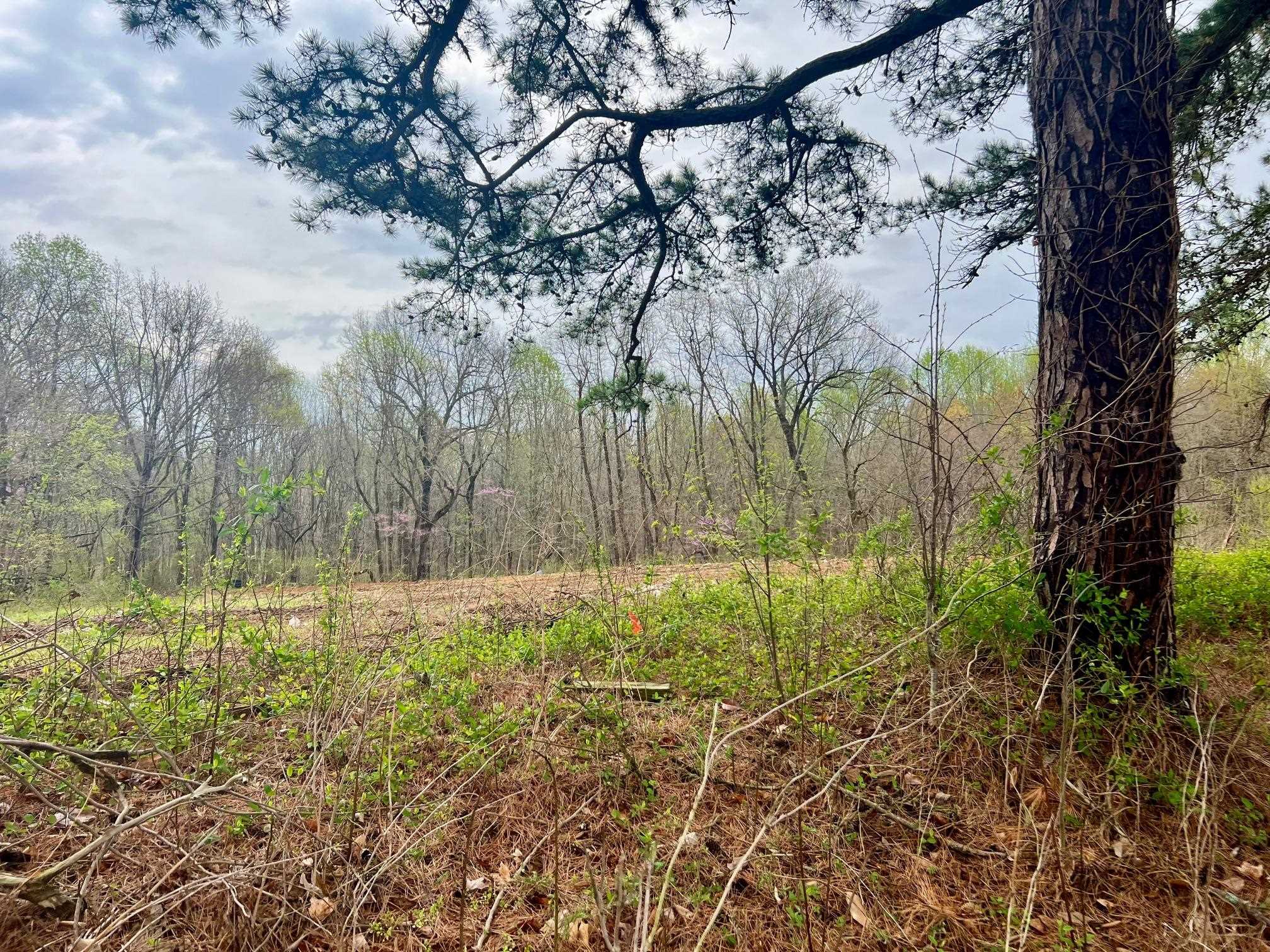 1000 Chesnut Grove Rd, Lewisport, Kentucky 42351, 3 Bedrooms Bedrooms, ,2 BathroomsBathrooms,Manufactured Home,For Sale,Chesnut Grove Rd,89311