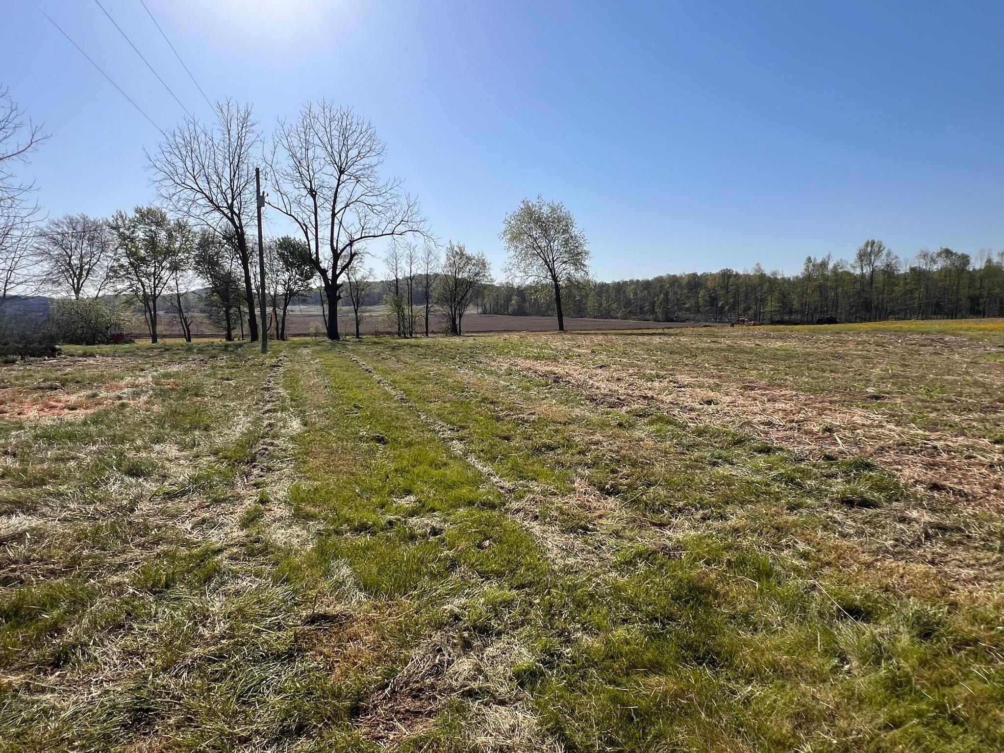 12700 Hwy 764, Philpot, Kentucky 42366, ,Land,For Sale,Hwy 764,89390