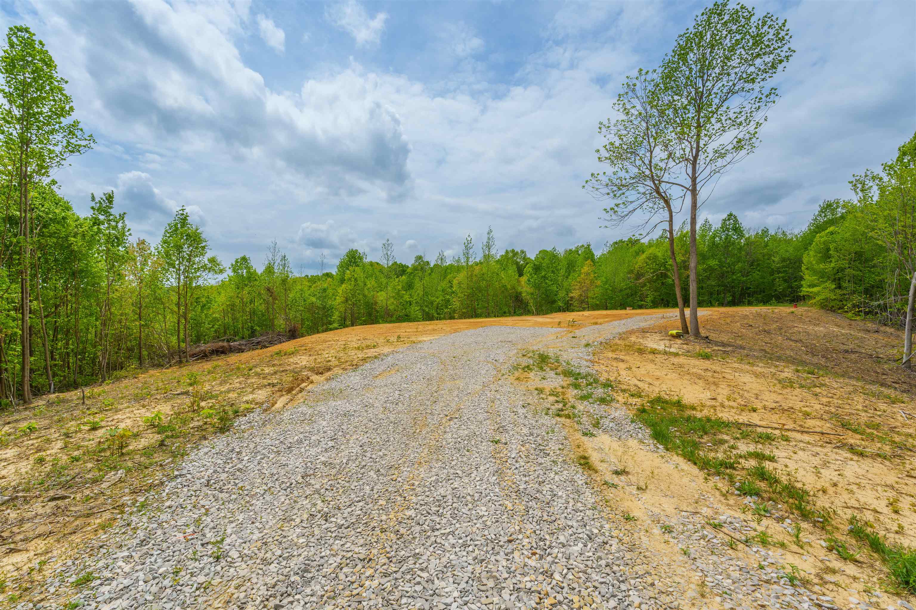 0 State Route 1700, Fordsville, Kentucky 42343, ,Land,For Sale,State Route 1700,89497