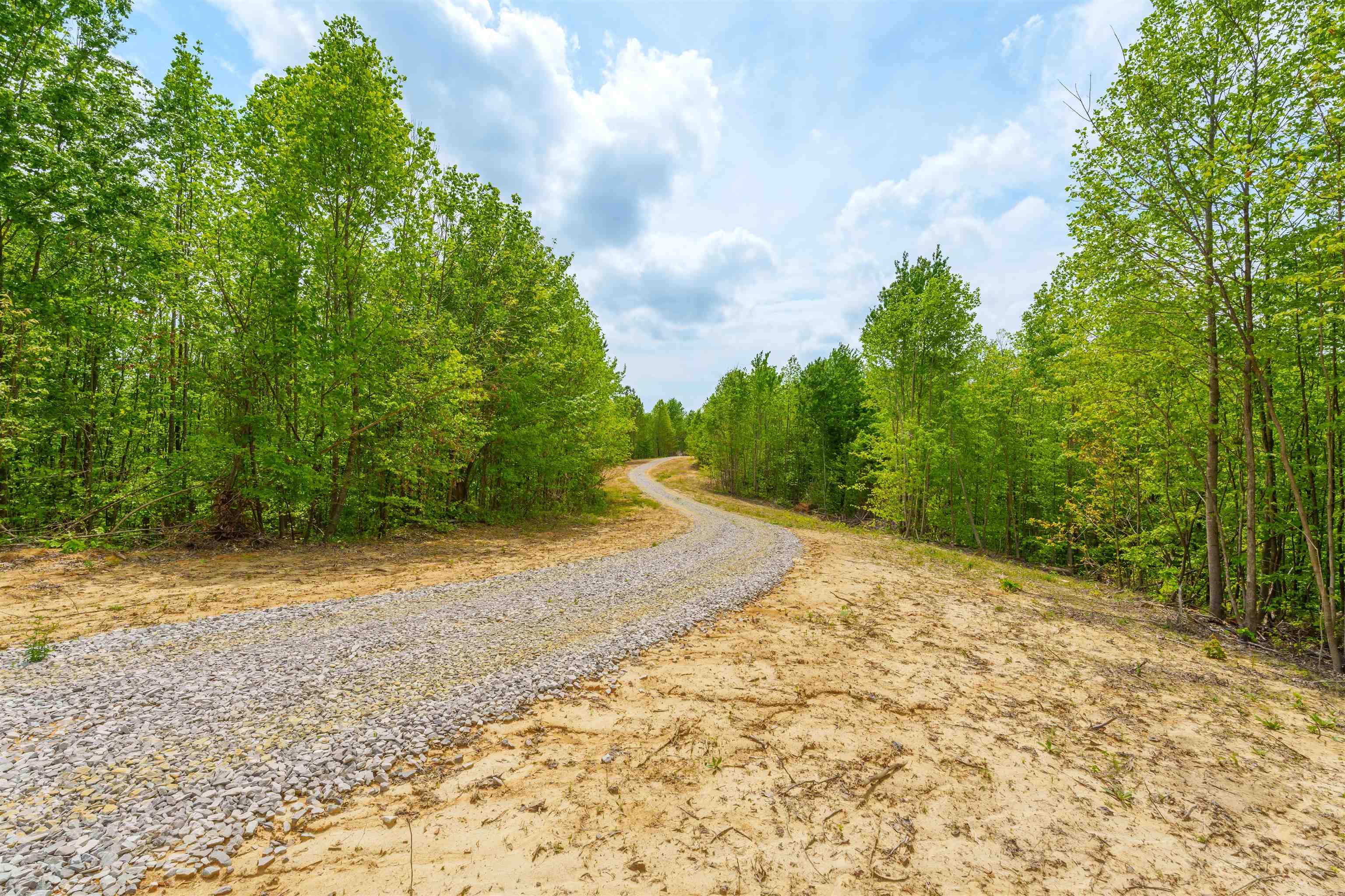 0 State Route 1700, Fordsville, Kentucky 42343, ,Land,For Sale,State Route 1700,89497