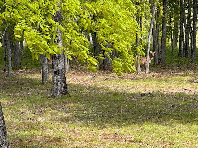 849 Indian Valley Rd, Falls of Rough, Kentucky 40119, 3 Bedrooms Bedrooms, ,2 BathroomsBathrooms,Single Family Residence,For Sale,Indian Valley Rd,89535