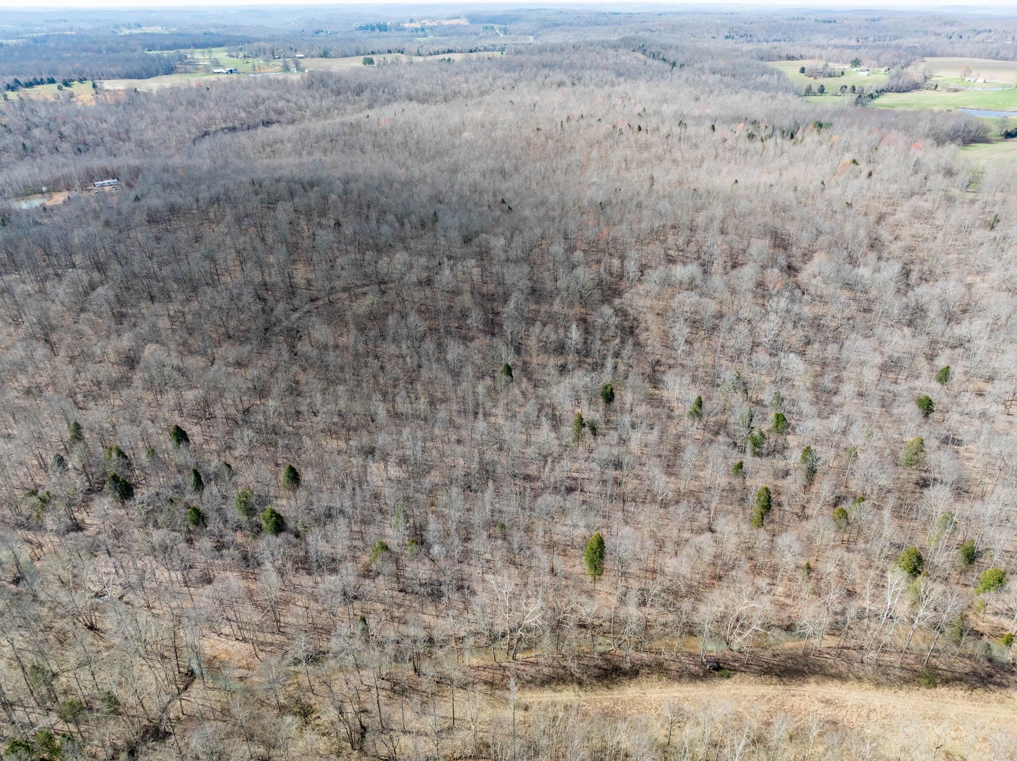 401 Moxley Lane, Fordsville, Kentucky 42343, ,Land,For Sale,Moxley Lane,89540