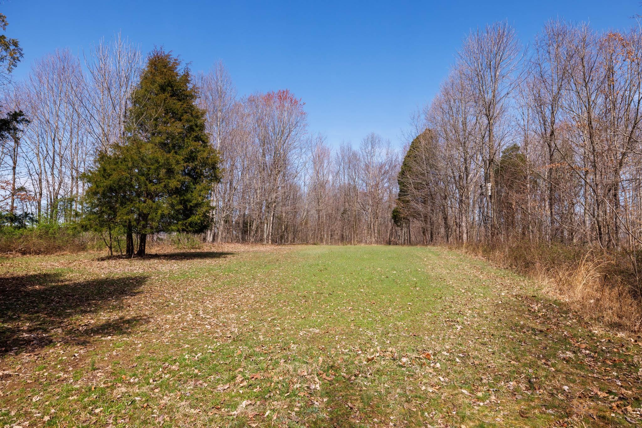 401 Moxley Lane, Fordsville, Kentucky 42343, ,Land,For Sale,Moxley Lane,89540