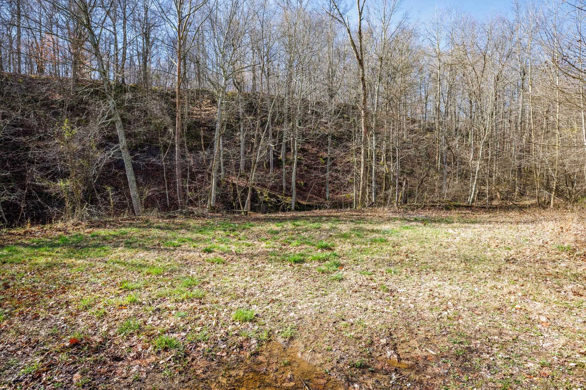 401 Moxley Lane, Fordsville, Kentucky 42343, ,Land,For Sale,Moxley Lane,89540