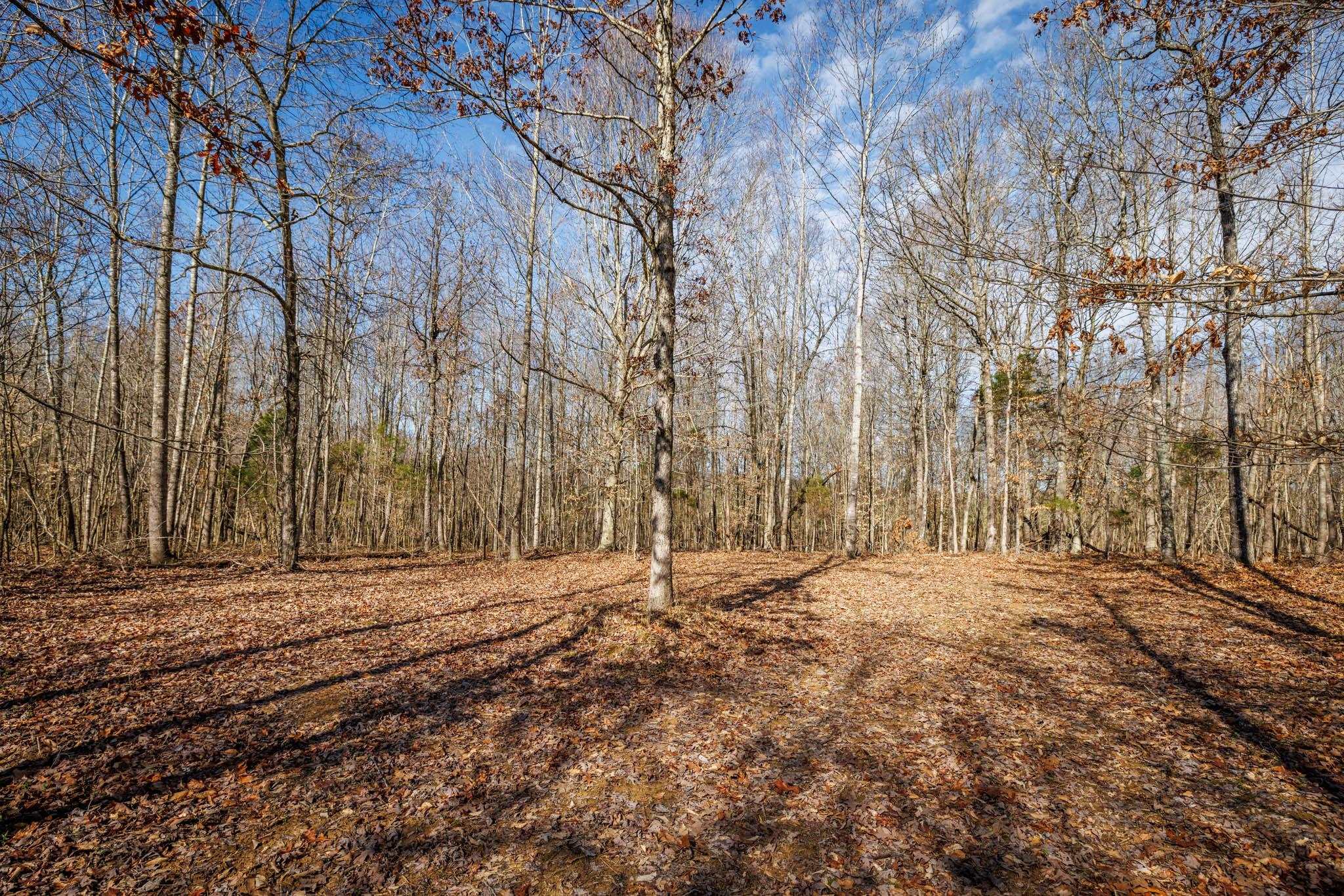 401 Moxley Lane, Fordsville, Kentucky 42343, ,Land,For Sale,Moxley Lane,89540