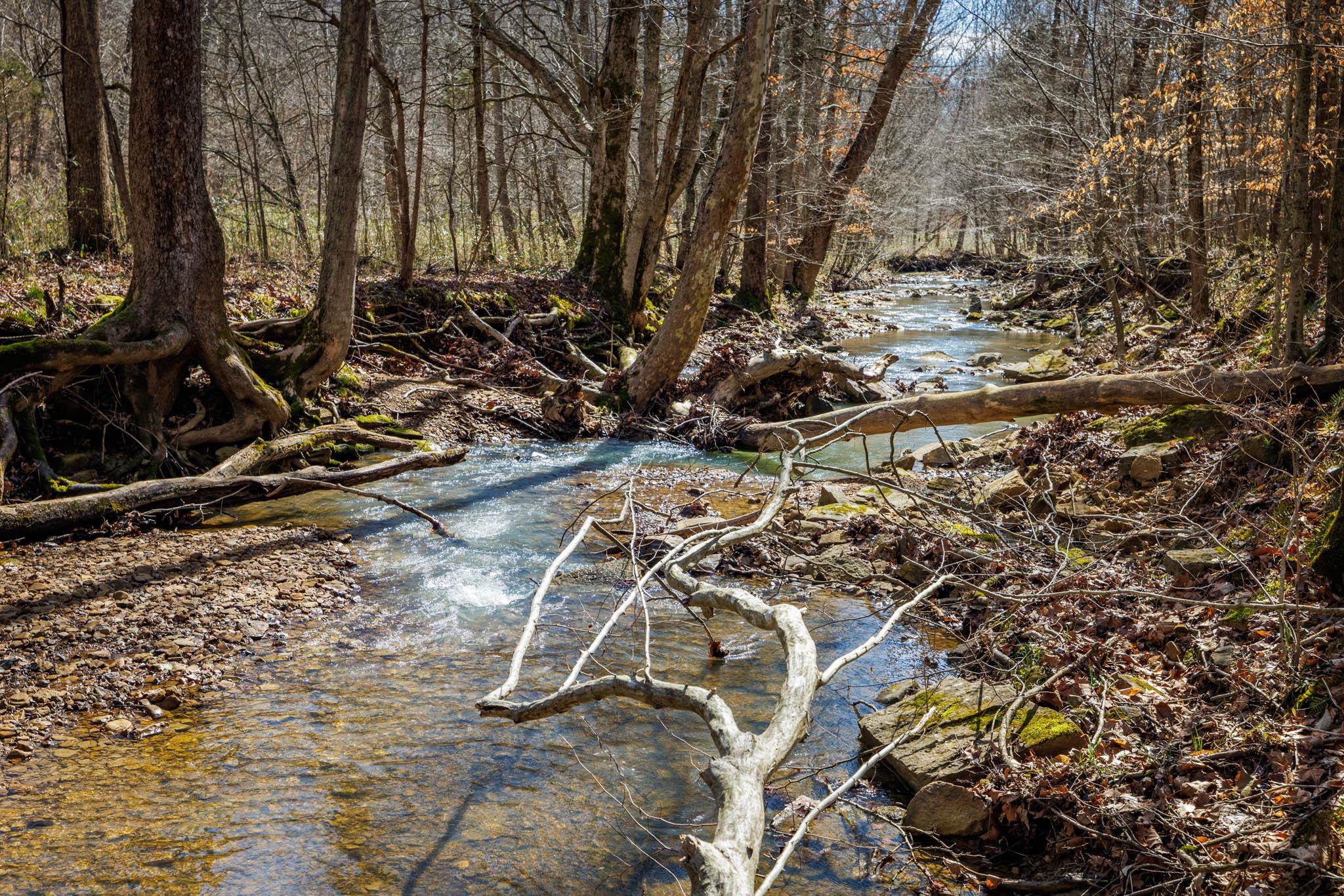 401 Moxley Lane, Fordsville, Kentucky 42343, ,Land,For Sale,Moxley Lane,89540