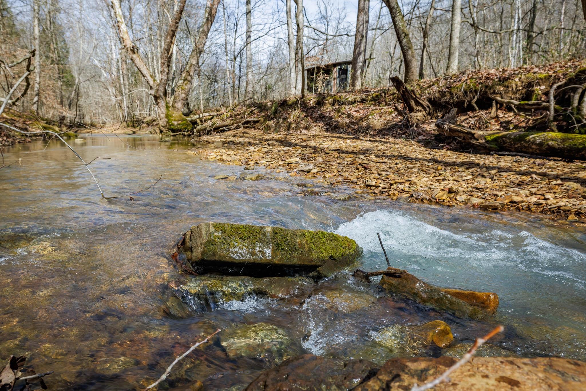 401 Moxley Lane, Fordsville, Kentucky 42343, ,Land,For Sale,Moxley Lane,89540