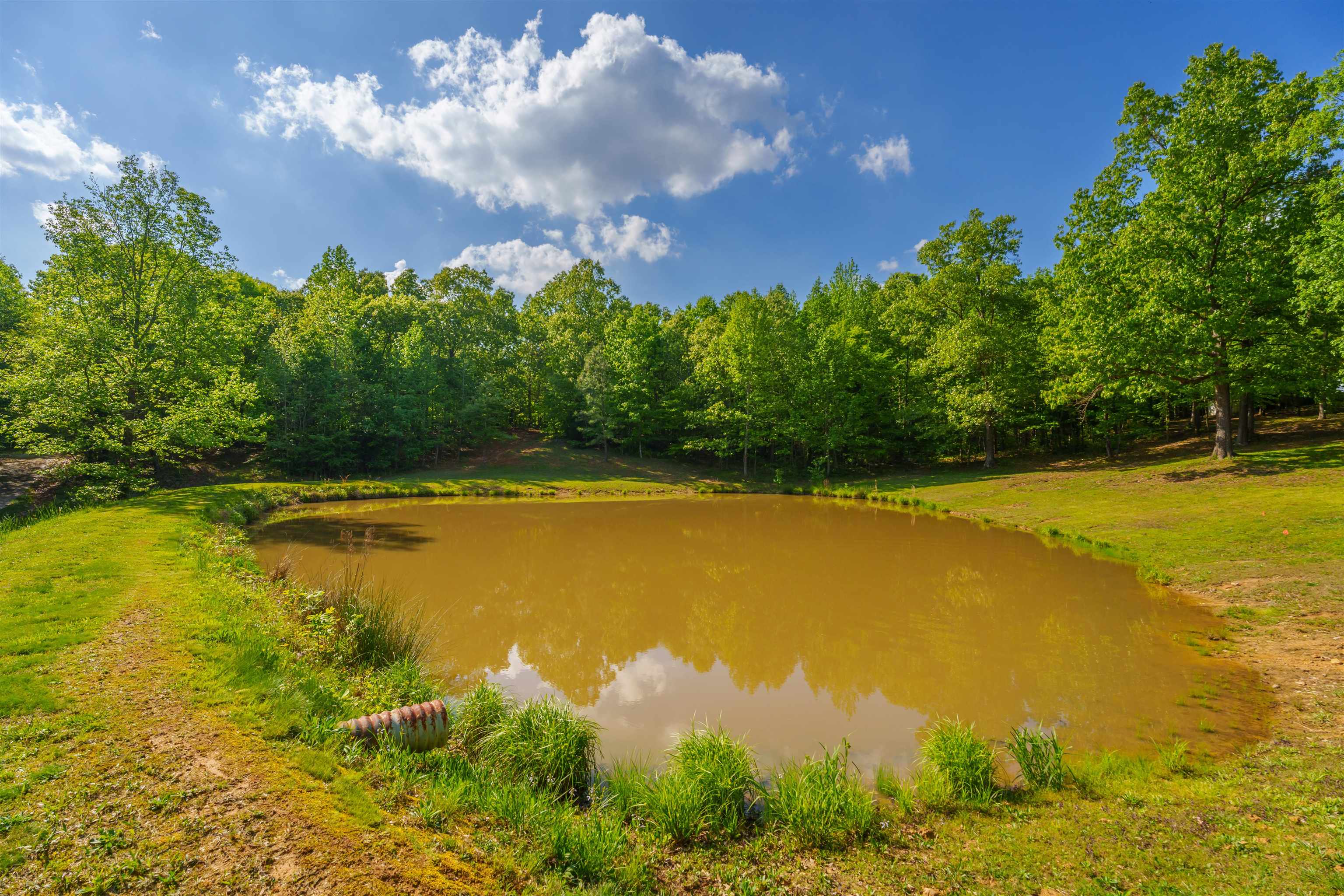 944 Tucker Hollow Rd., Hartford, Kentucky 42347, 4 Bedrooms Bedrooms, ,2 BathroomsBathrooms,Single Family Residence,For Sale,Tucker Hollow Rd.,89556