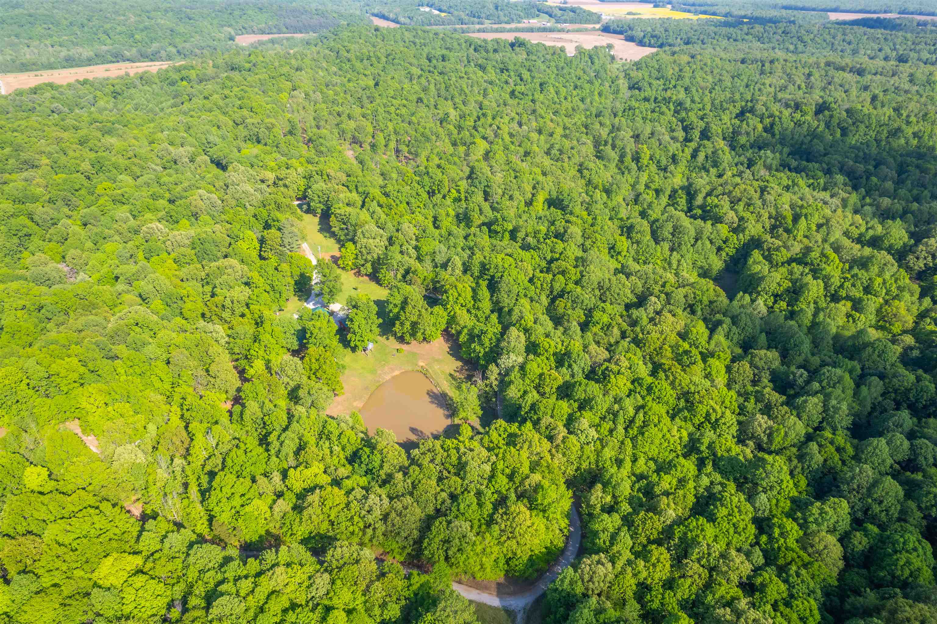 944 Tucker Hollow Rd., Hartford, Kentucky 42347, 4 Bedrooms Bedrooms, ,2 BathroomsBathrooms,Single Family Residence,For Sale,Tucker Hollow Rd.,89556