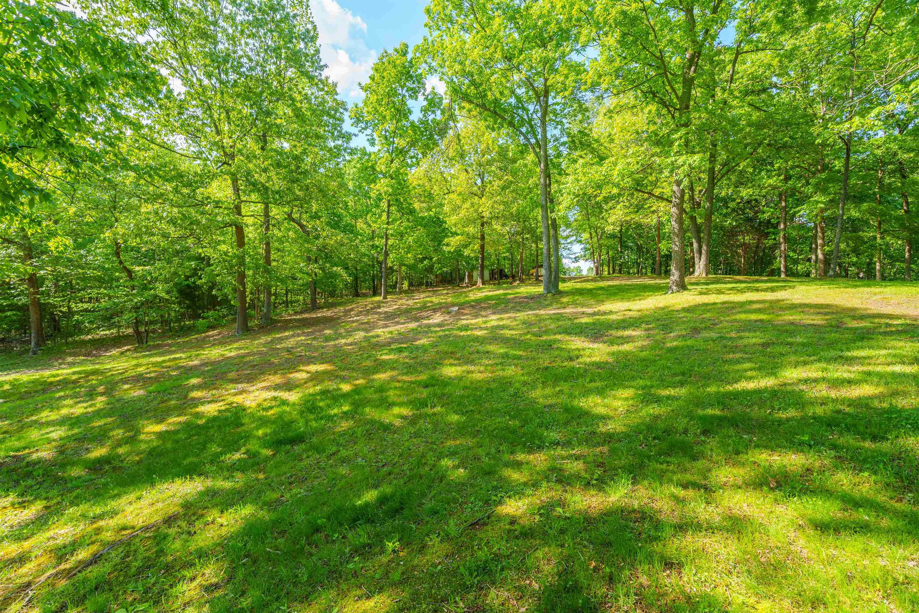 944 Tucker Hollow Rd., Hartford, Kentucky 42347, 4 Bedrooms Bedrooms, ,2 BathroomsBathrooms,Single Family Residence,For Sale,Tucker Hollow Rd.,89556