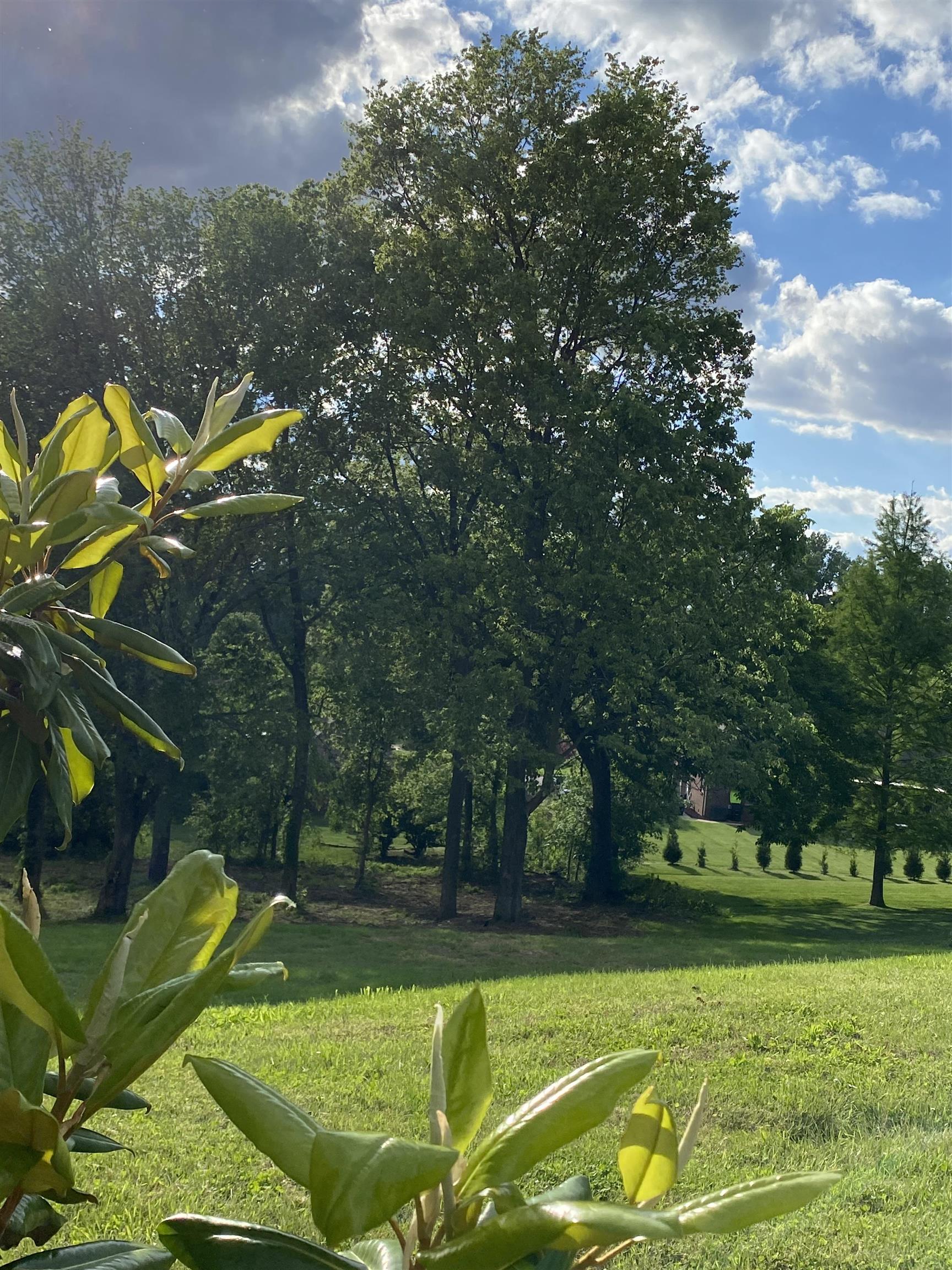 260 Ridgecrest Pl, Owensboro, Kentucky 42301, ,Land,For Sale,Ridgecrest Pl,89584
